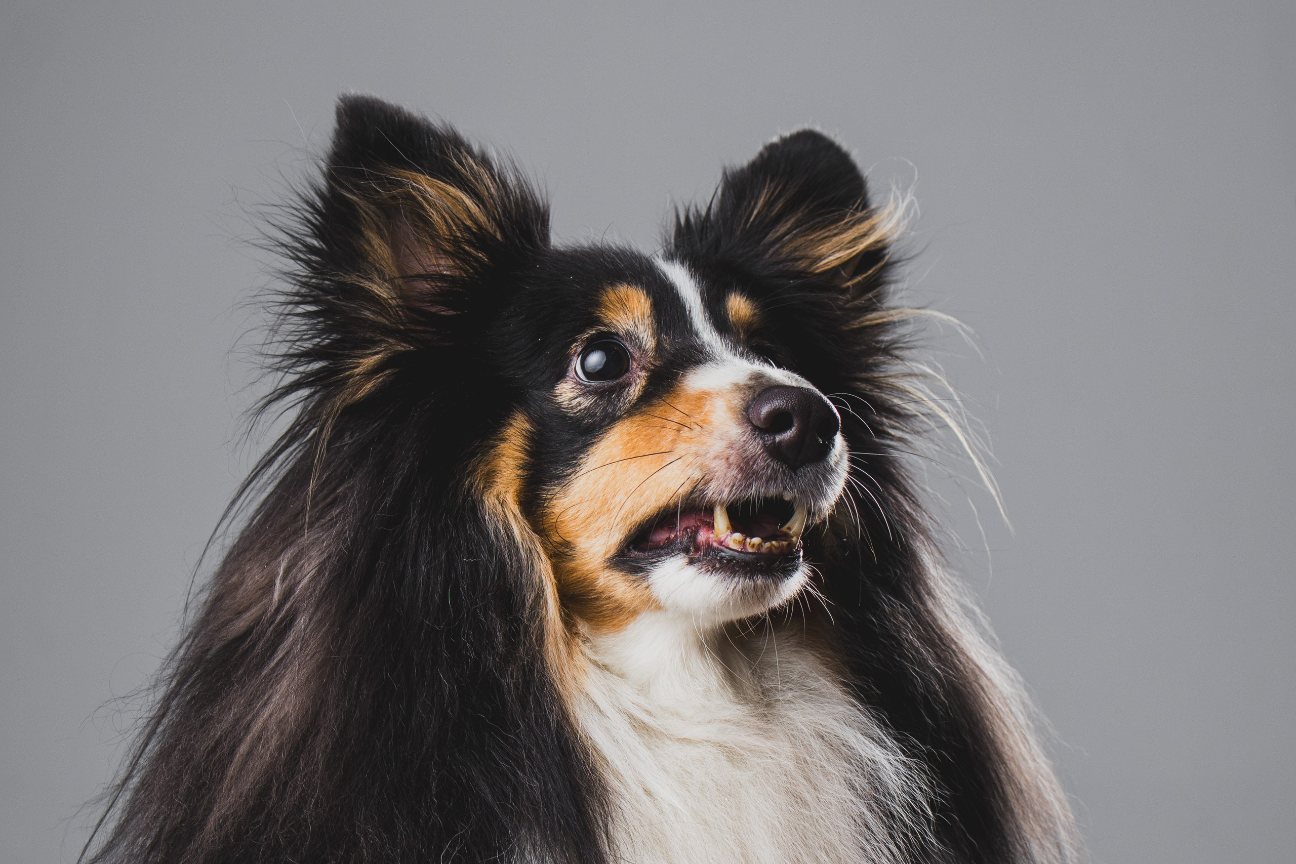 Воркшоп по импульсному свету