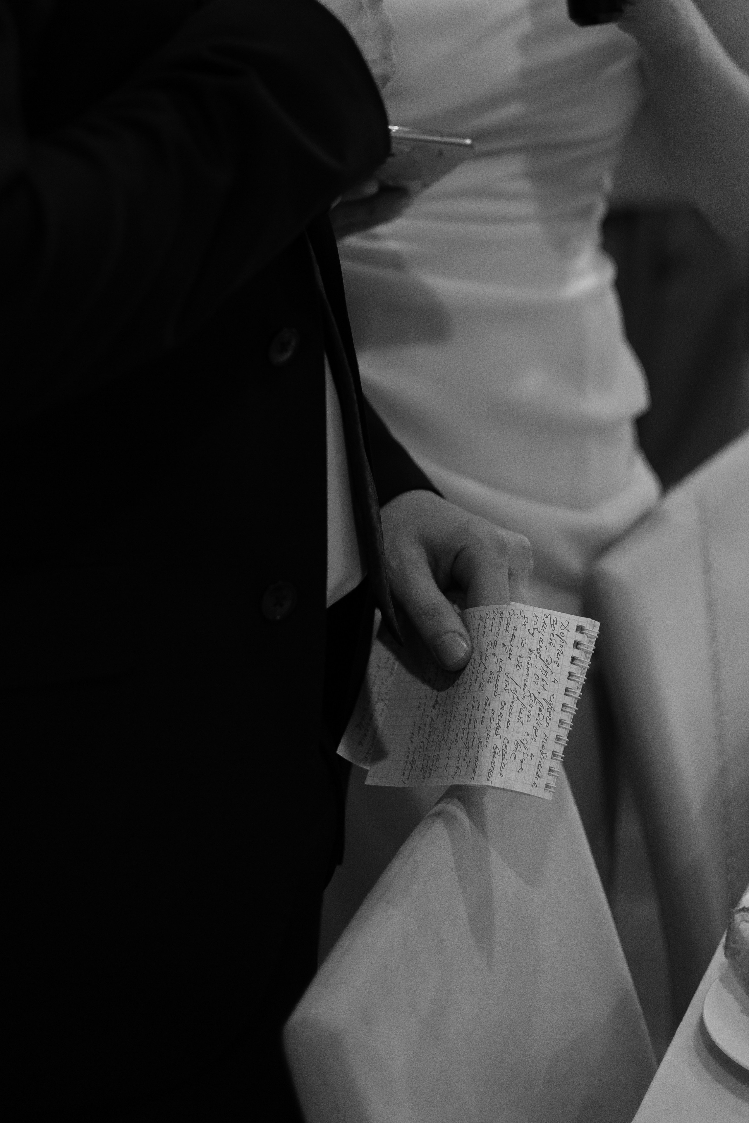 Серая кошка и рыжий кот. Свадебный и семейный фотограф Арина Кулёва