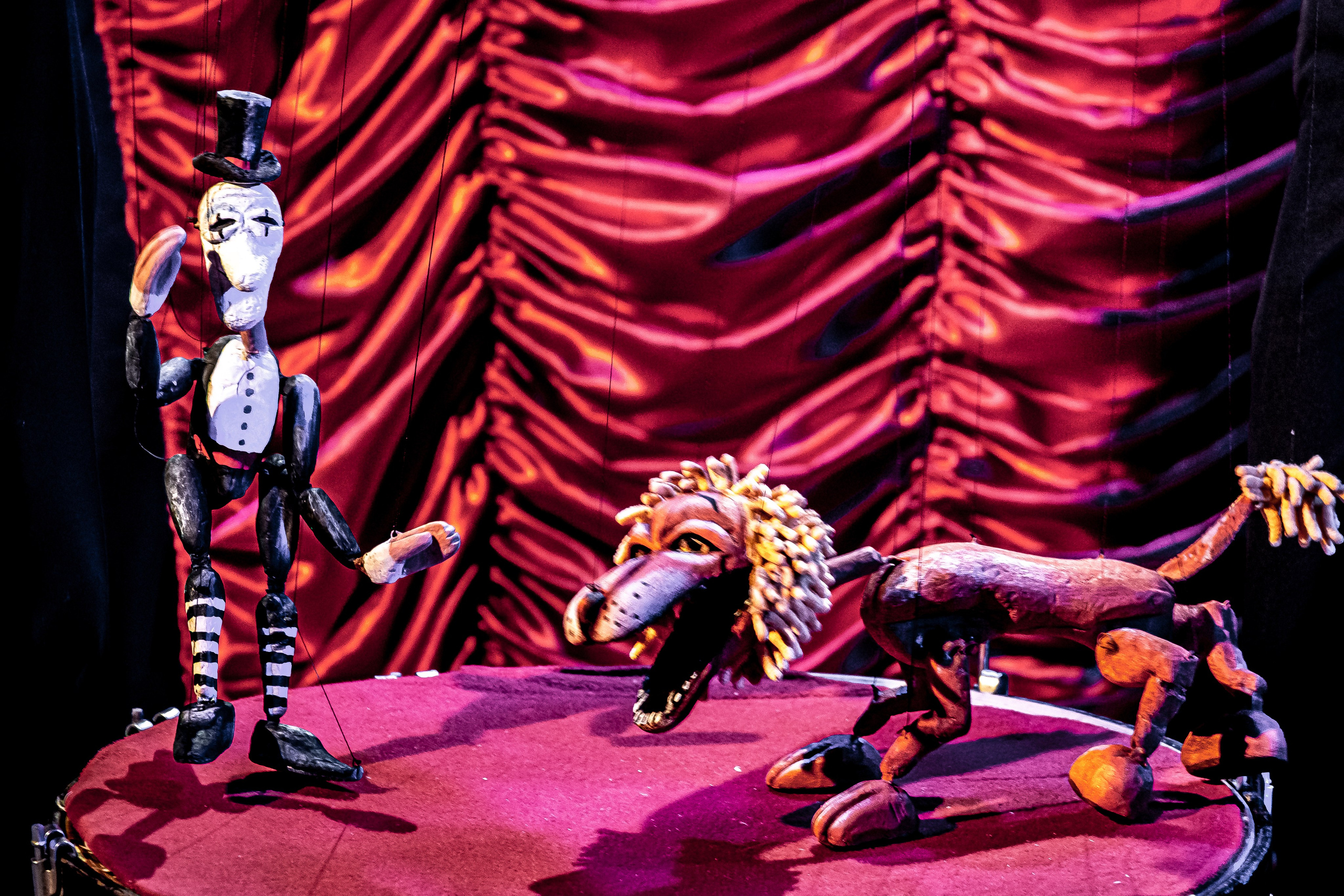 Цирк из Саквояжа спектакль театра САКВОЯЖ. Фотограф в Сочи Юрий Шептаев