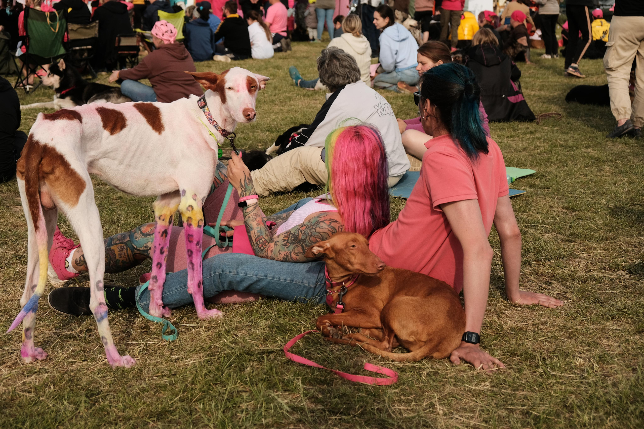 Хвостатый драйв 2023. Дмитрий Бречалов