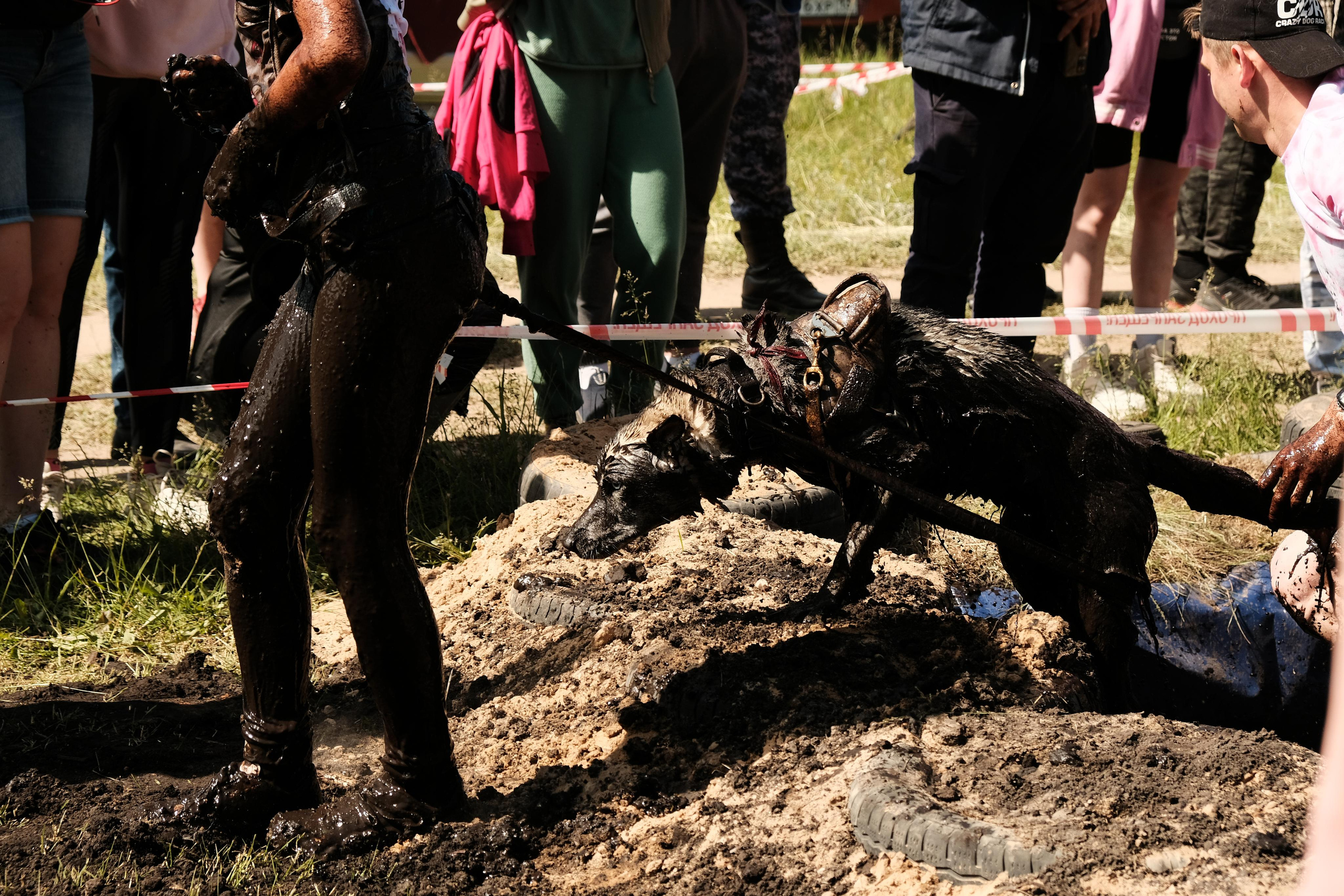 Хвостатый драйв 2023. Дмитрий Бречалов