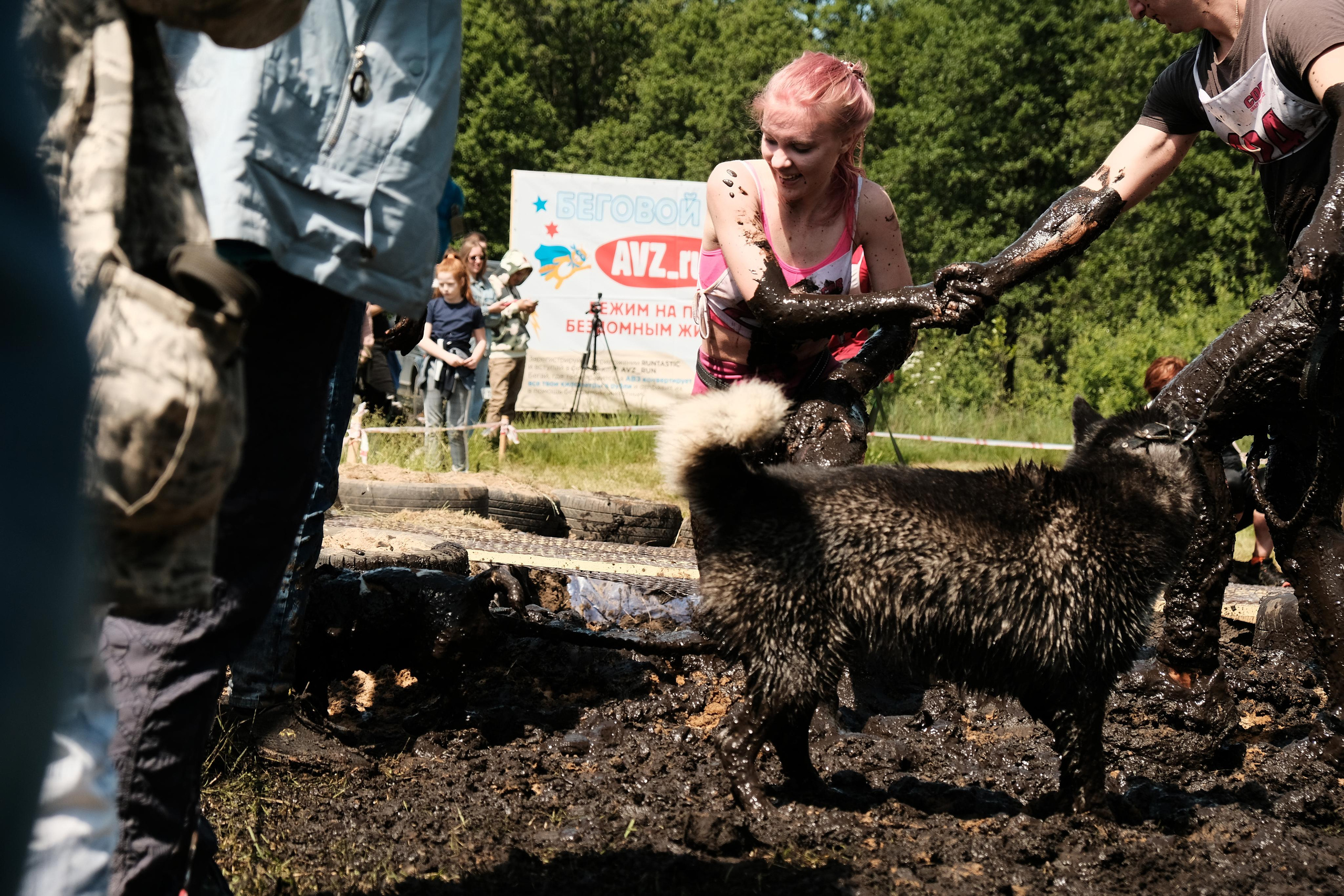 Хвостатый драйв 2023. Дмитрий Бречалов