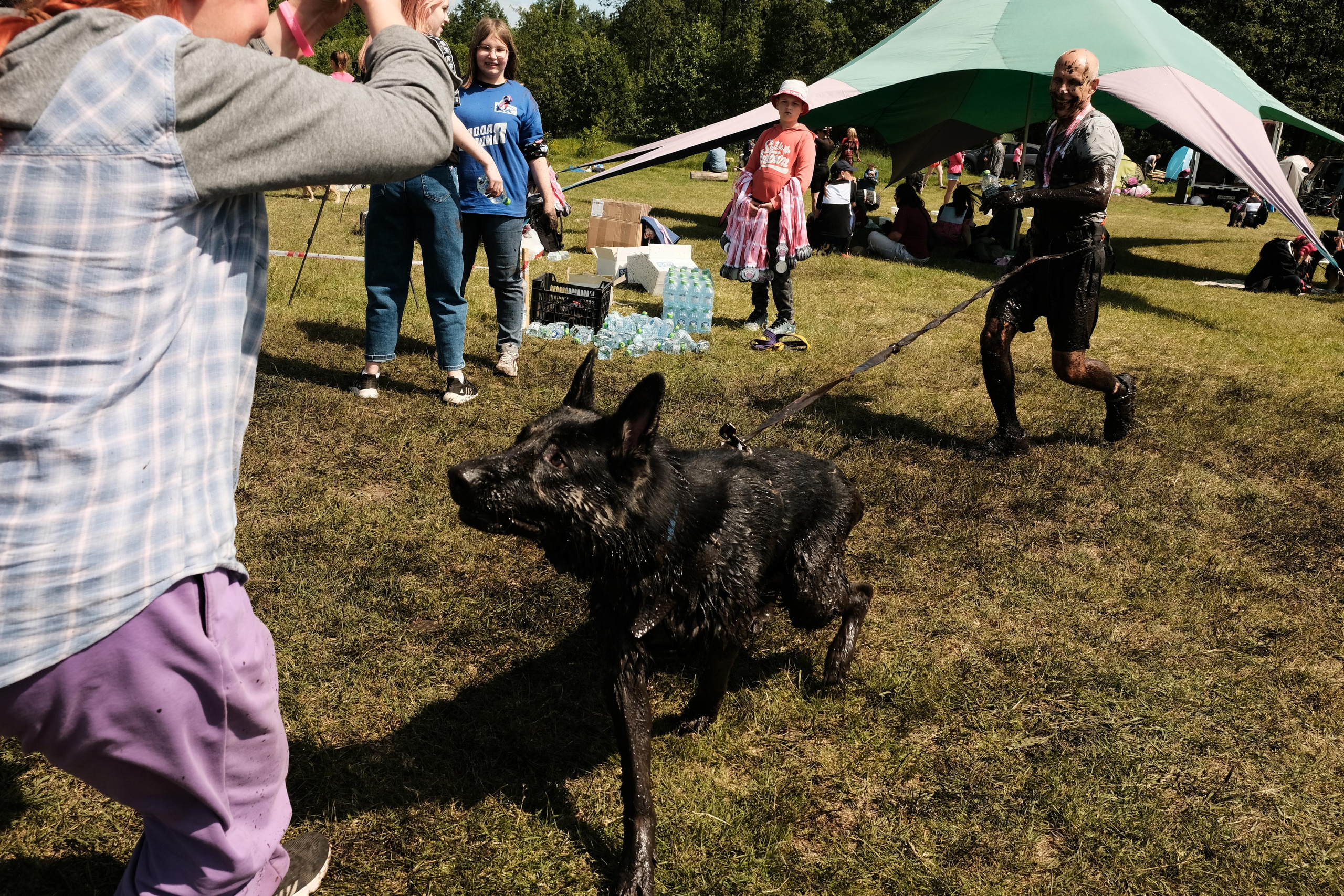 Хвостатый драйв 2023. Дмитрий Бречалов