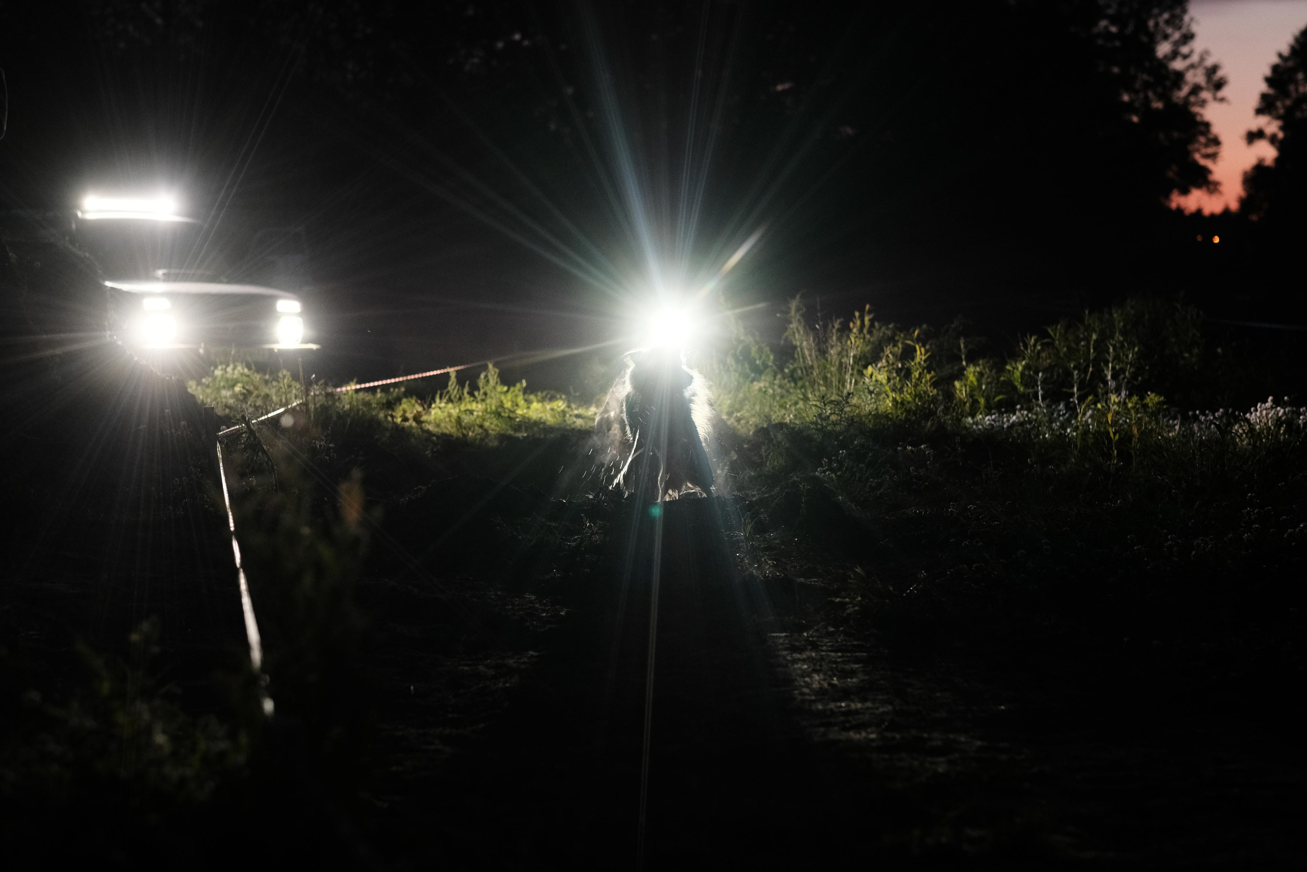 Хвостатый драйв 2023. Дмитрий Бречалов