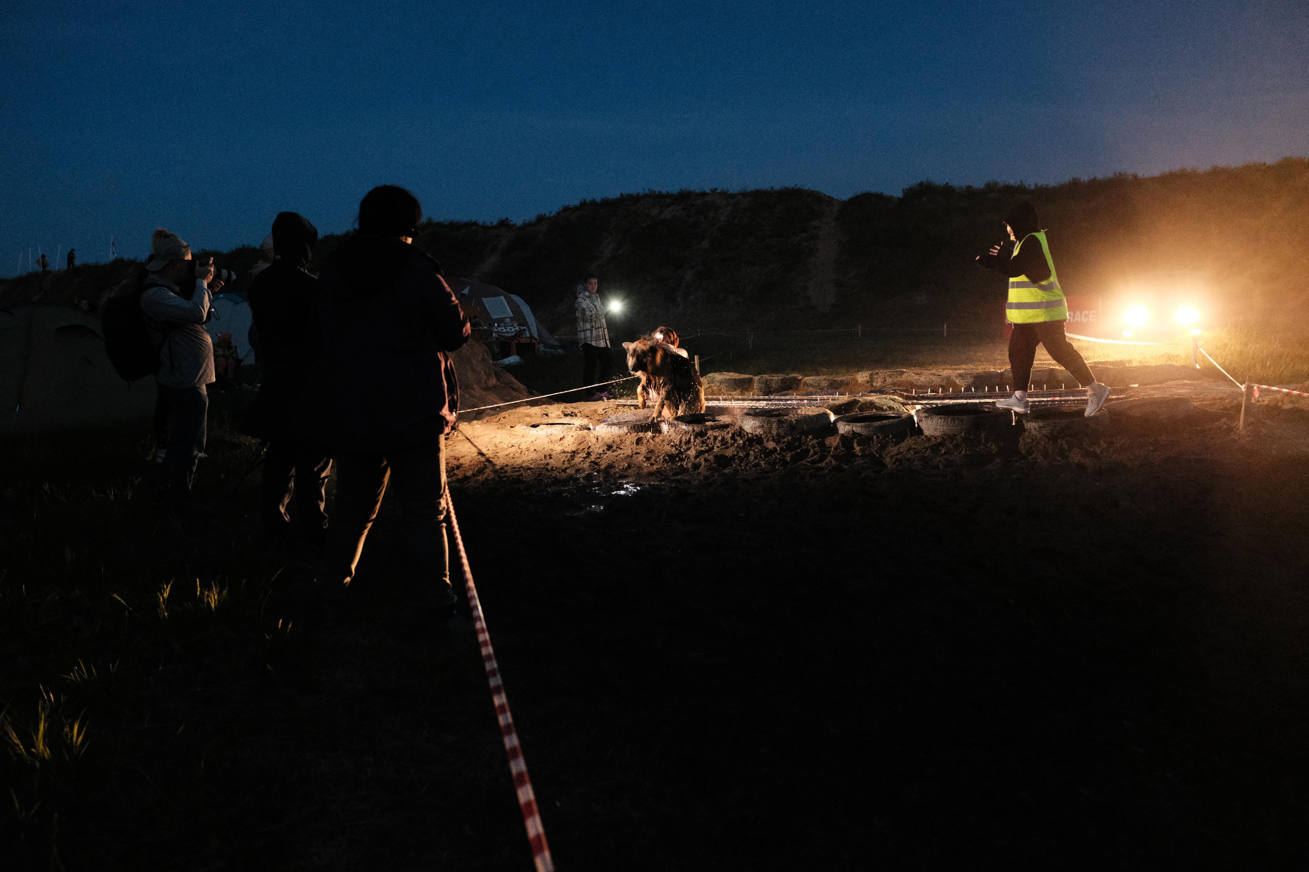 Хвостатый драйв 2023. Дмитрий Бречалов