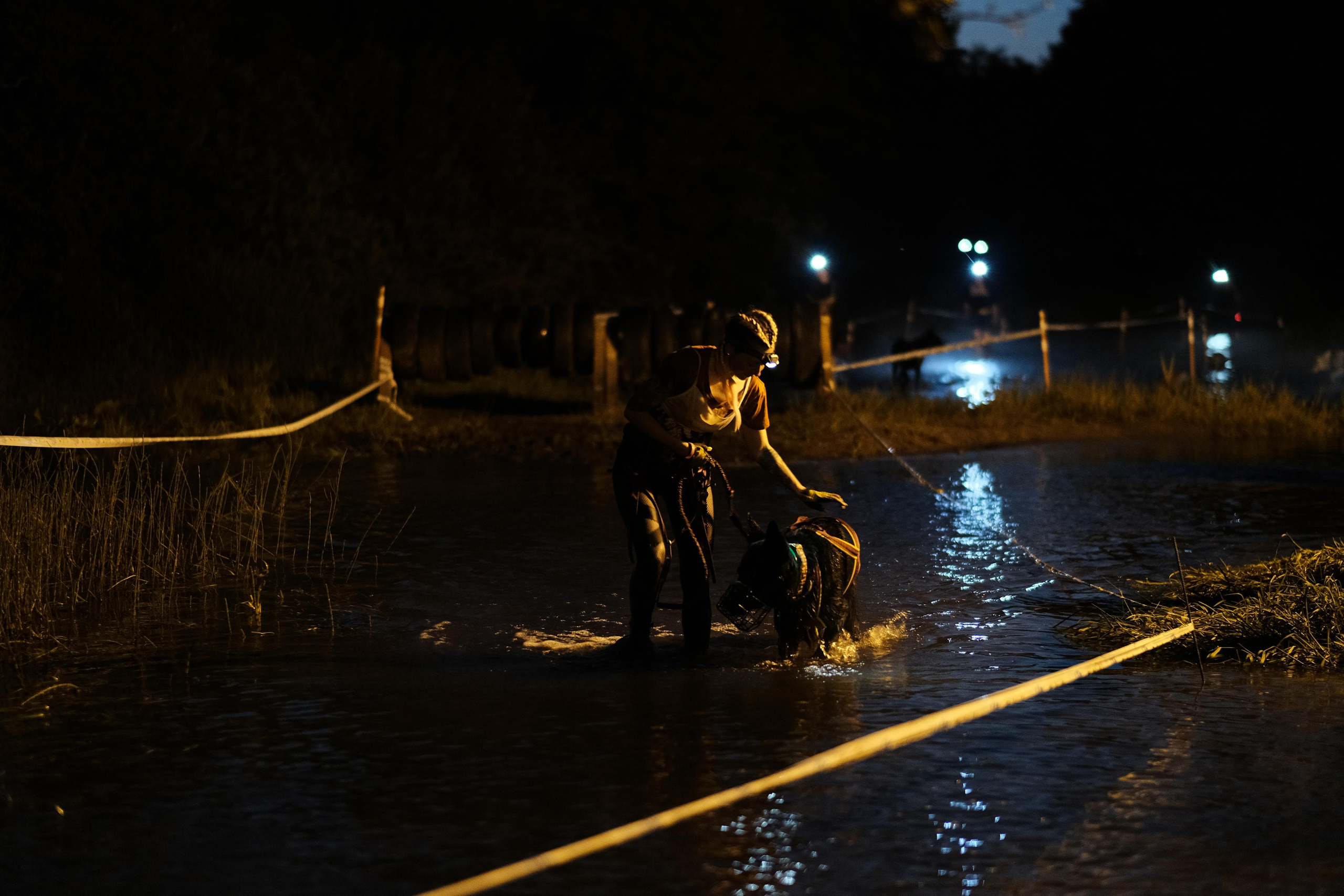 Хвостатый драйв 2023. Дмитрий Бречалов