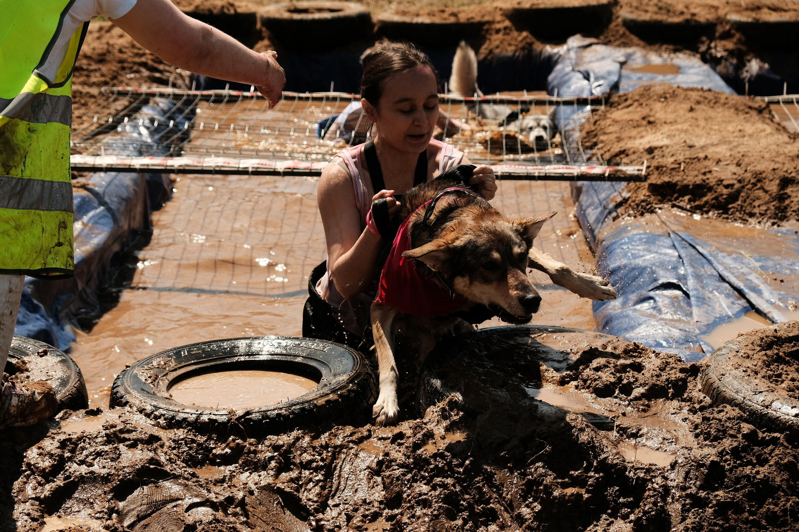 Хвостатый драйв 2023. Дмитрий Бречалов