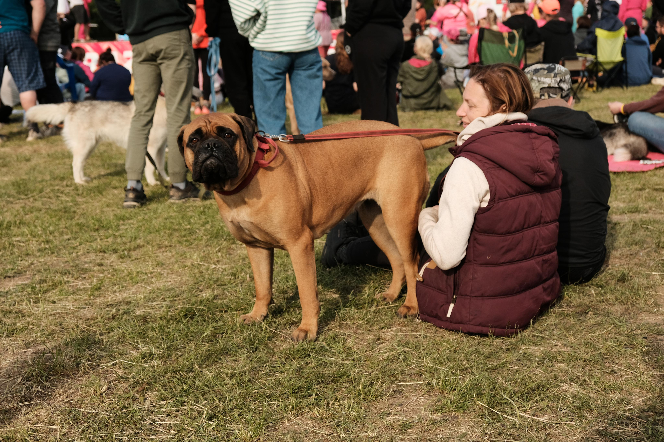 Хвостатый драйв 2023. Дмитрий Бречалов