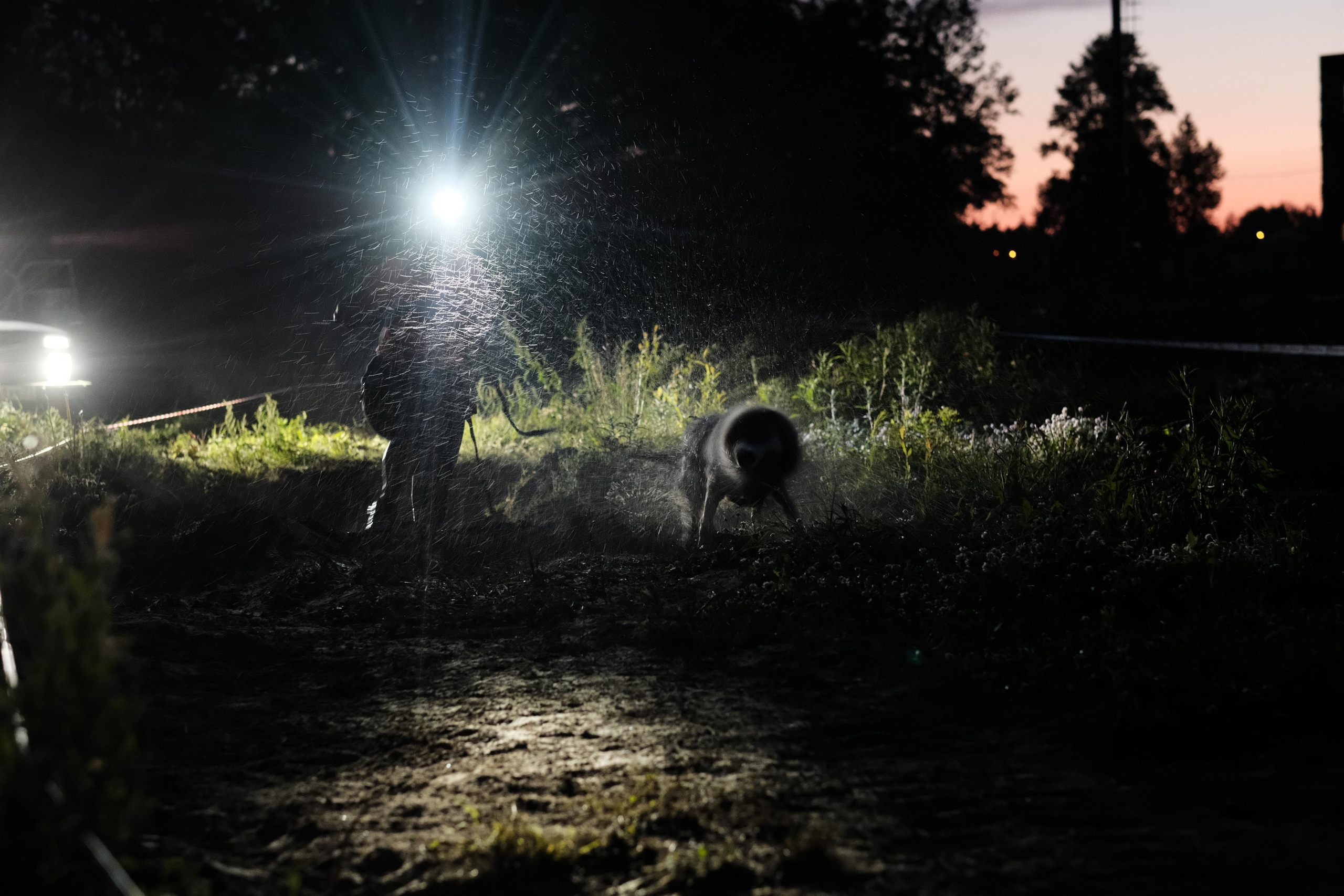 Хвостатый драйв 2023. Дмитрий Бречалов