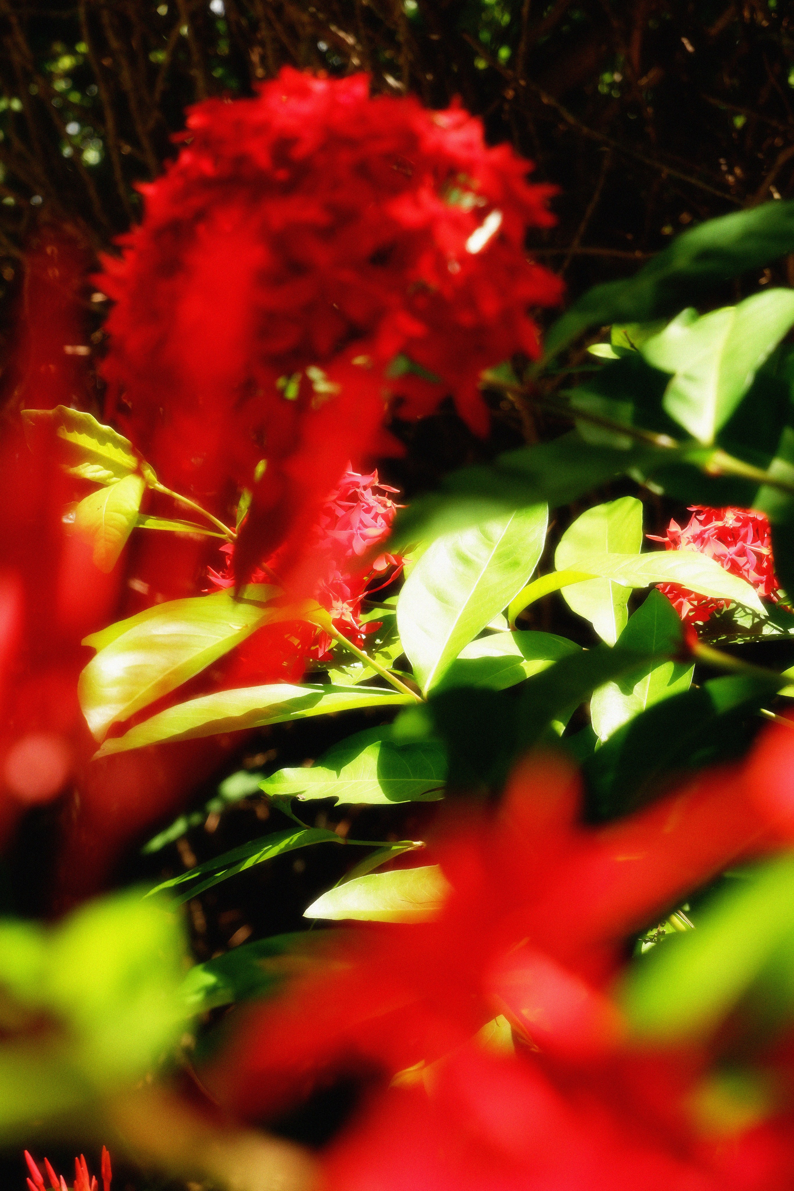 MALDIVES&BAHRAIN. ANNA — PHOTOGRAPHER