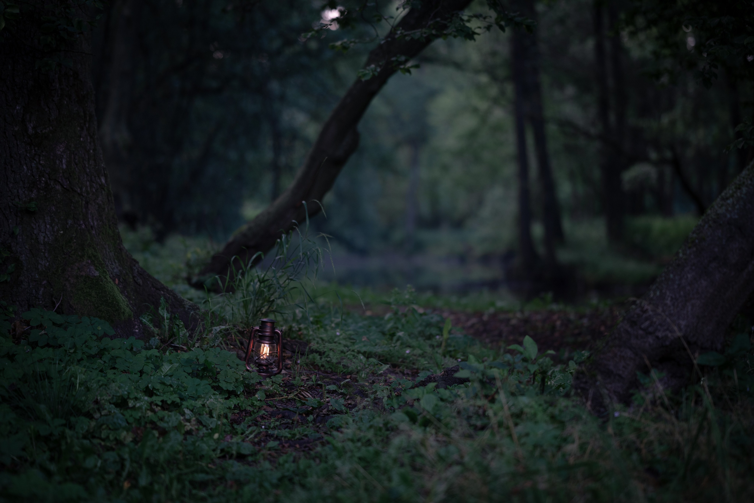 Места. Фотограф в Минске Дарья Кончакова