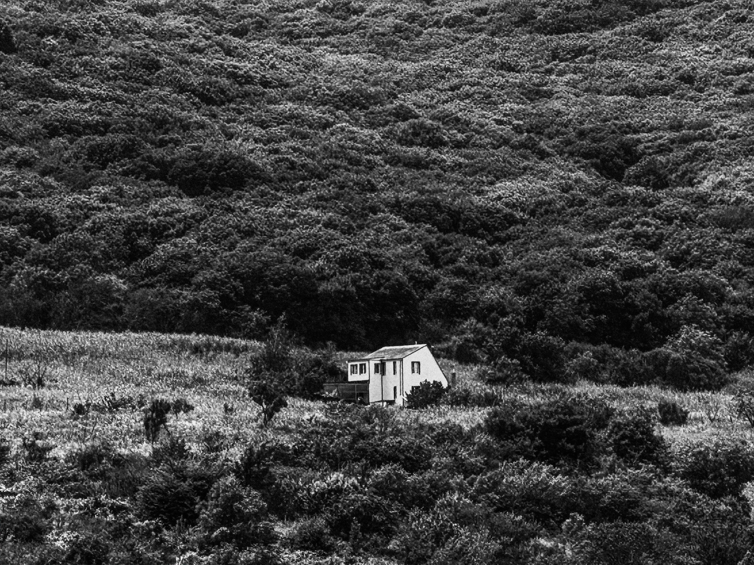 Архитектура. Смотри, красота!