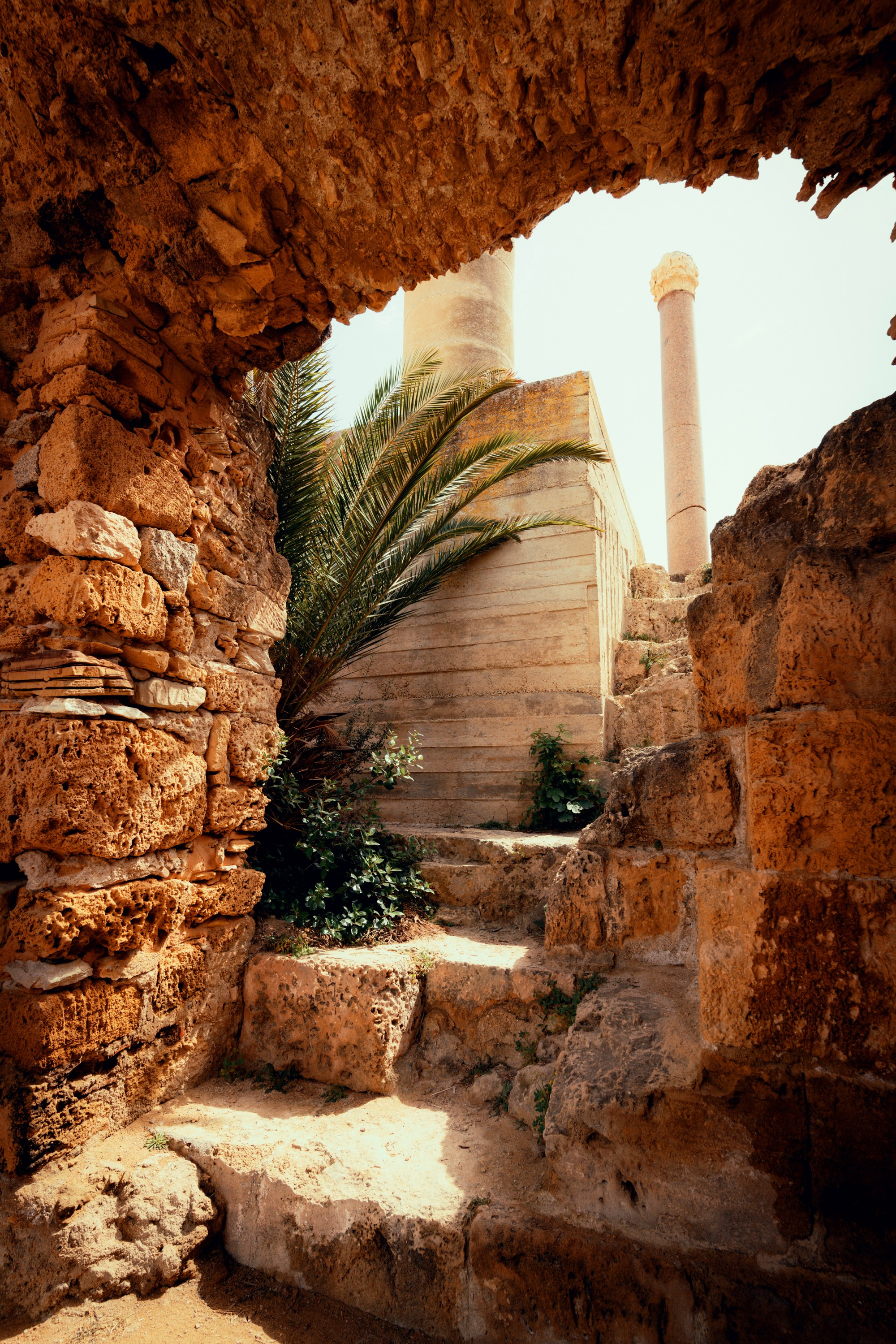 Путешествия. Фотограф в Хабаровске. Фотография за 24 часа