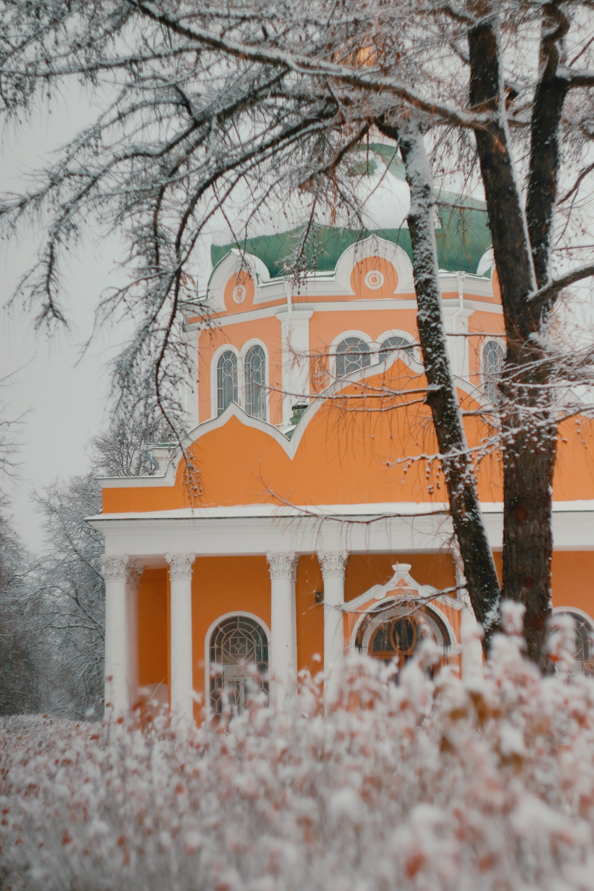 Ноябрьский снег. С любовью, фотохудожник