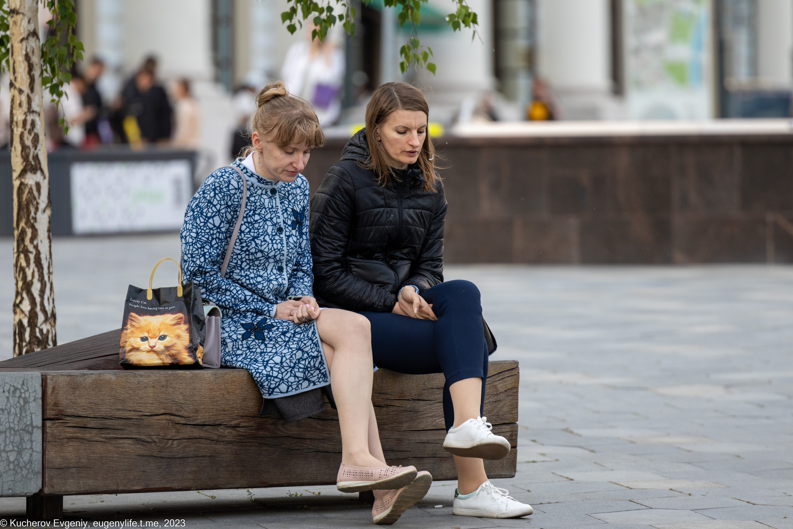 Скамейки. Кучеров Евгений. Фотограф