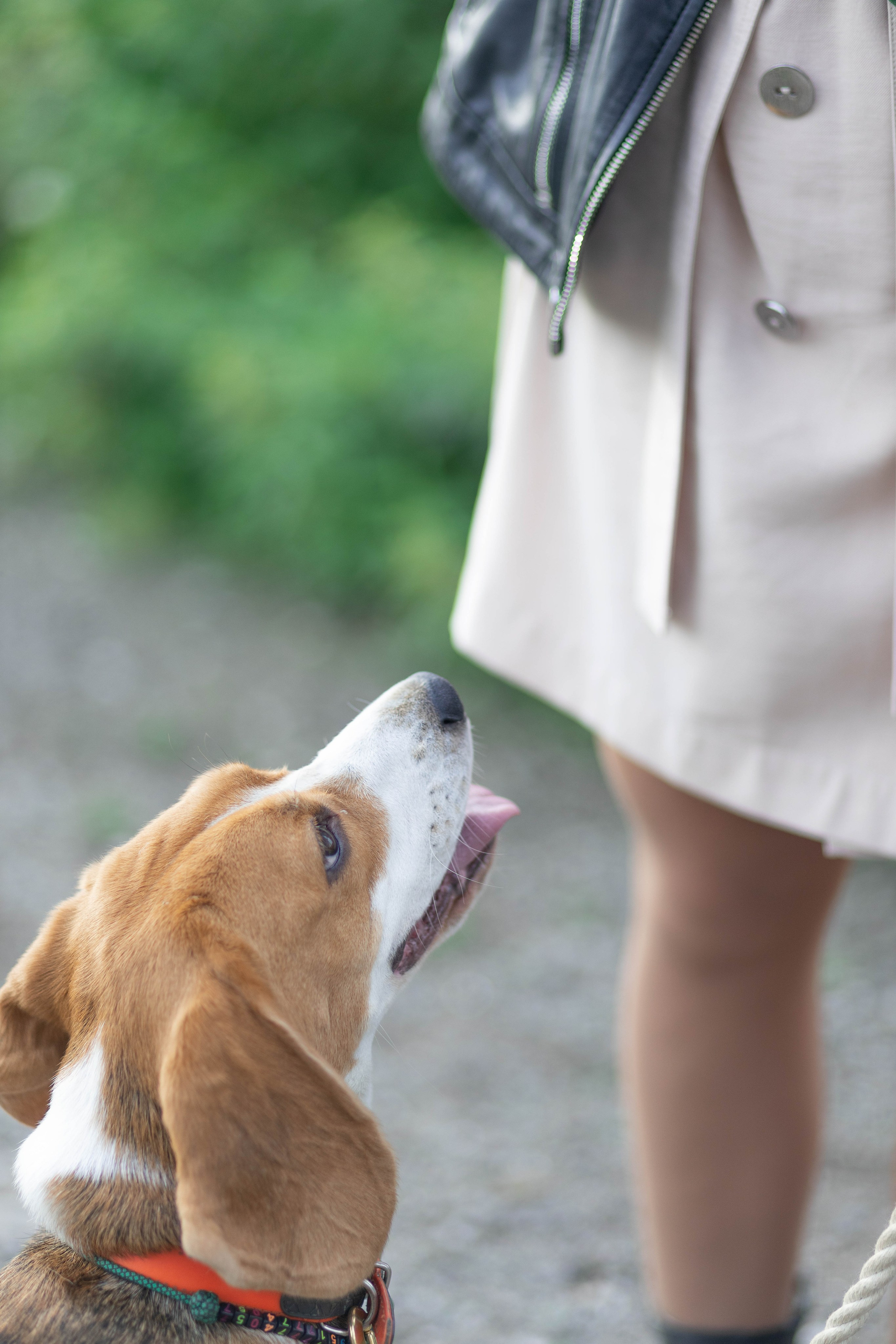 Елизавета. Семейный и детский фотограф в Челябинске Елена Вышегородцева