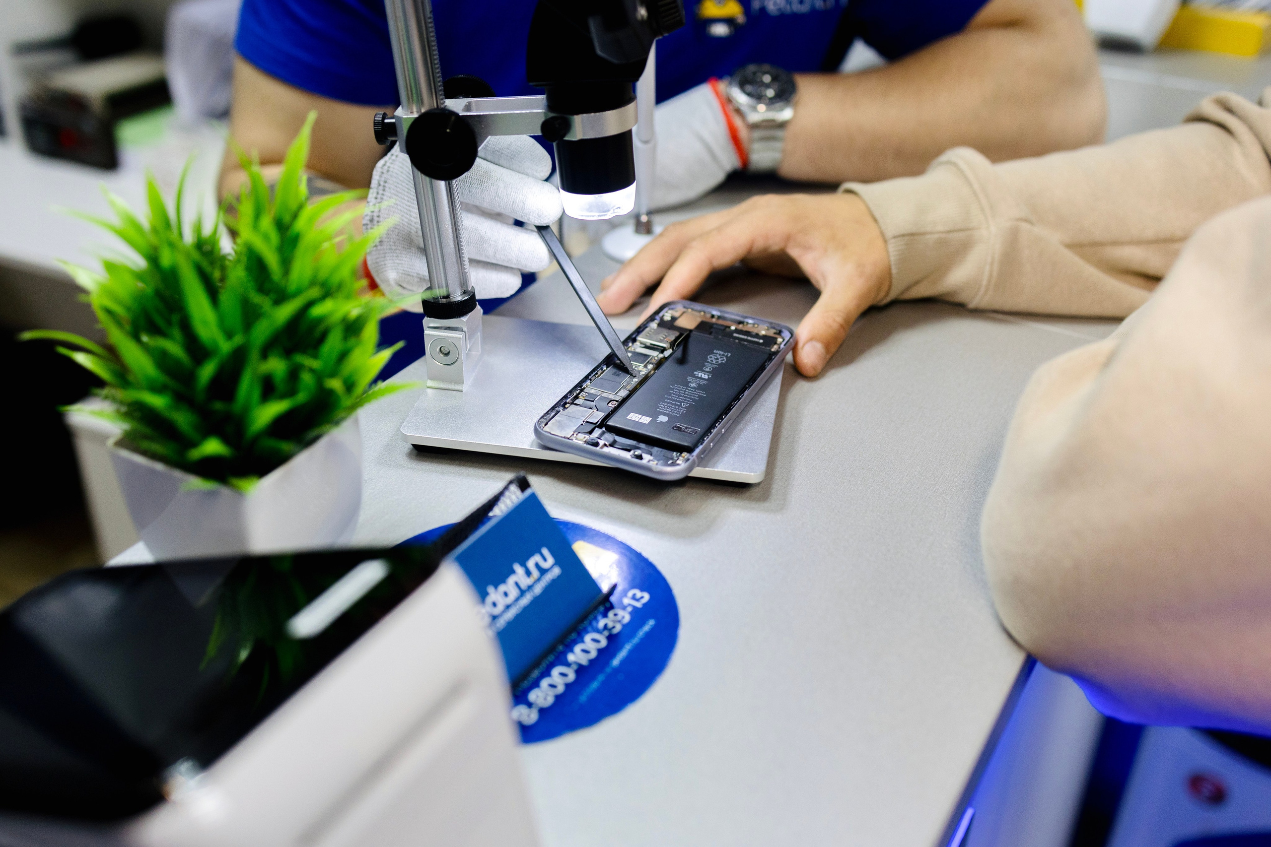 Педант. Свадебный фотограф в Петропавловске-Камчатском Артур Зябов