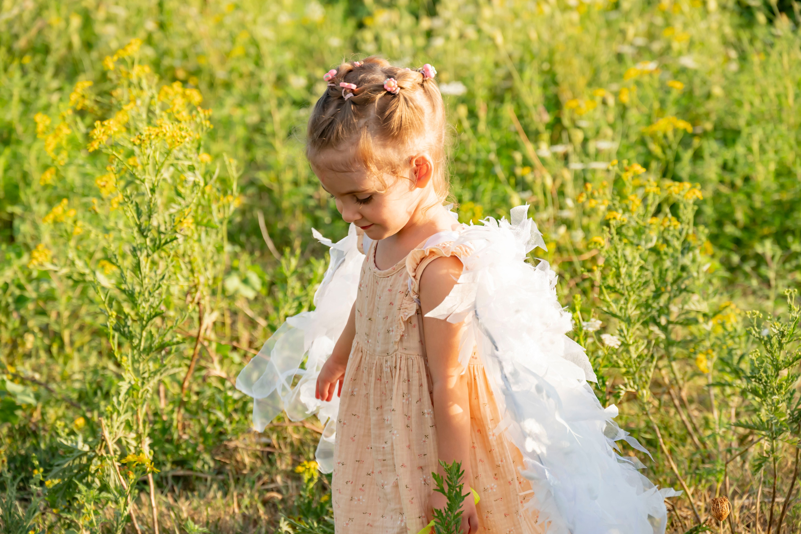 Летняя прогулка. Главная