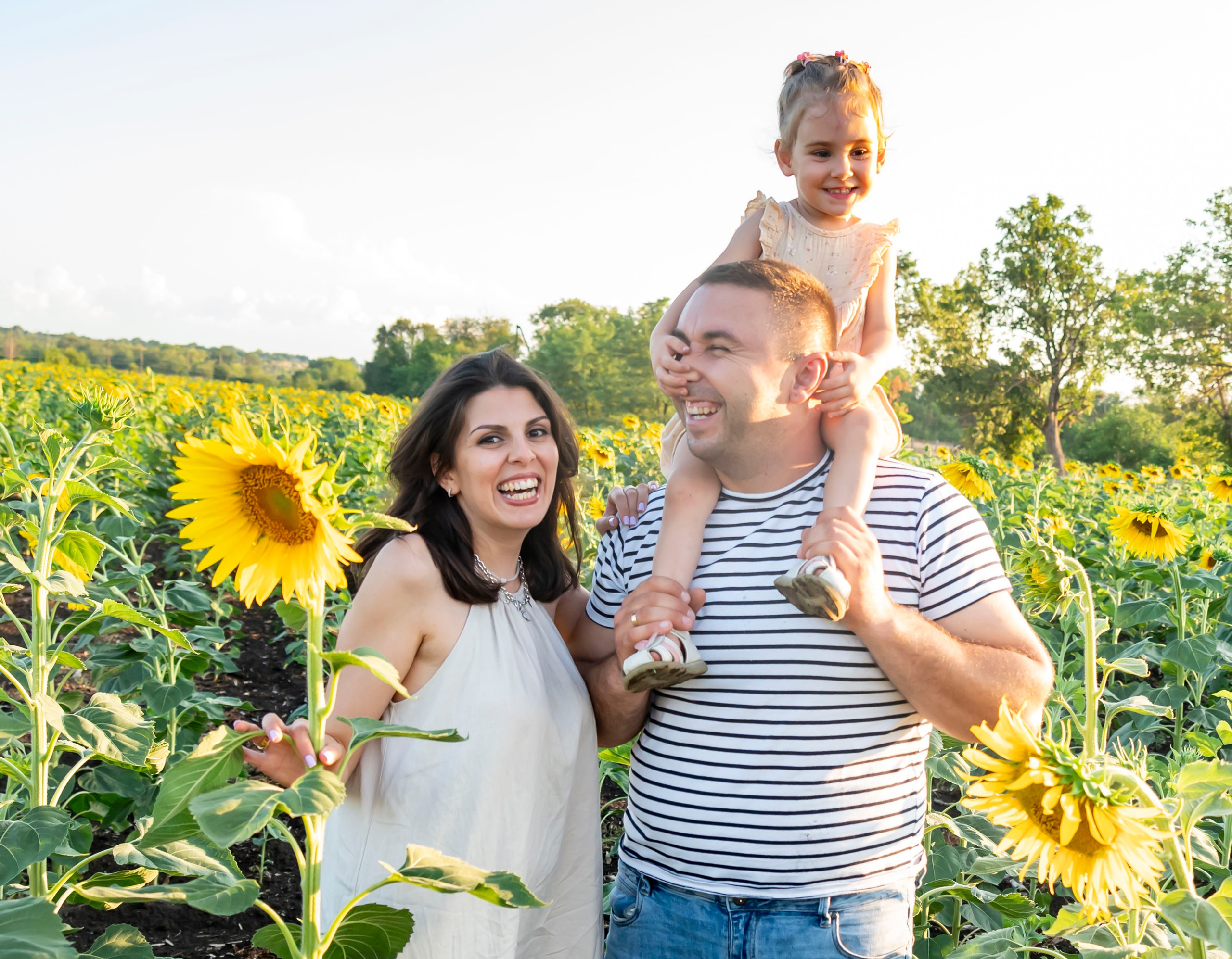 Летняя прогулка. Главная