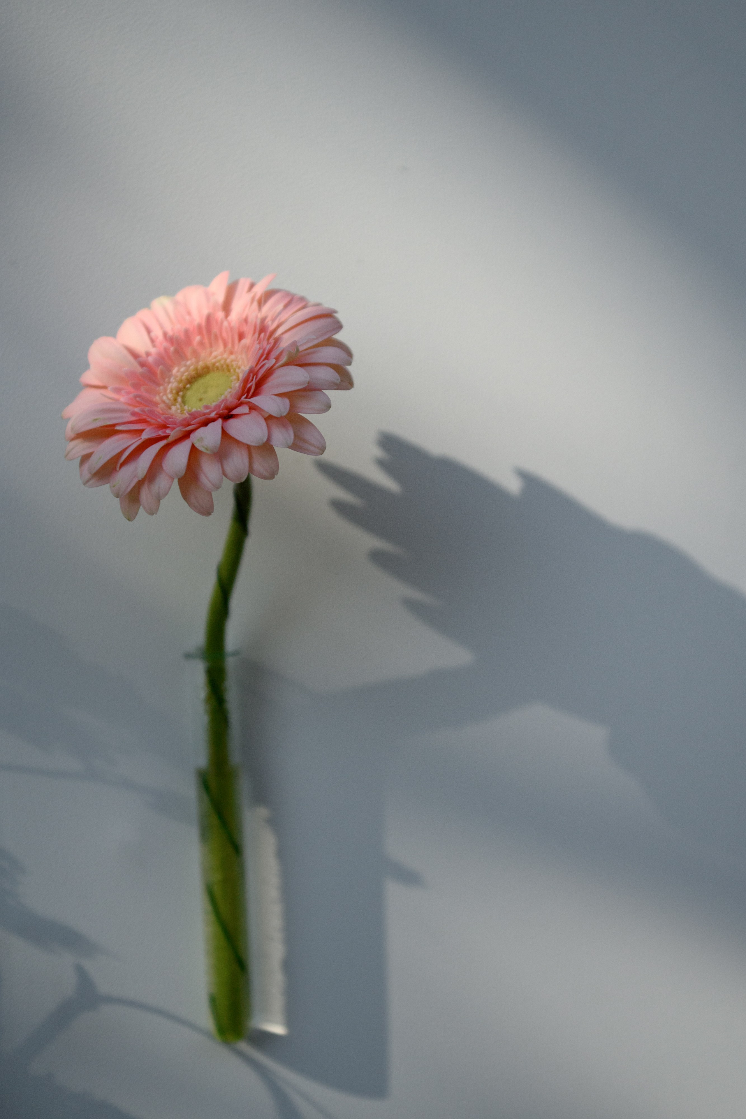 Юбилей Галант Холл. Свадебный фотограф Иркутск Алексей Шульгин