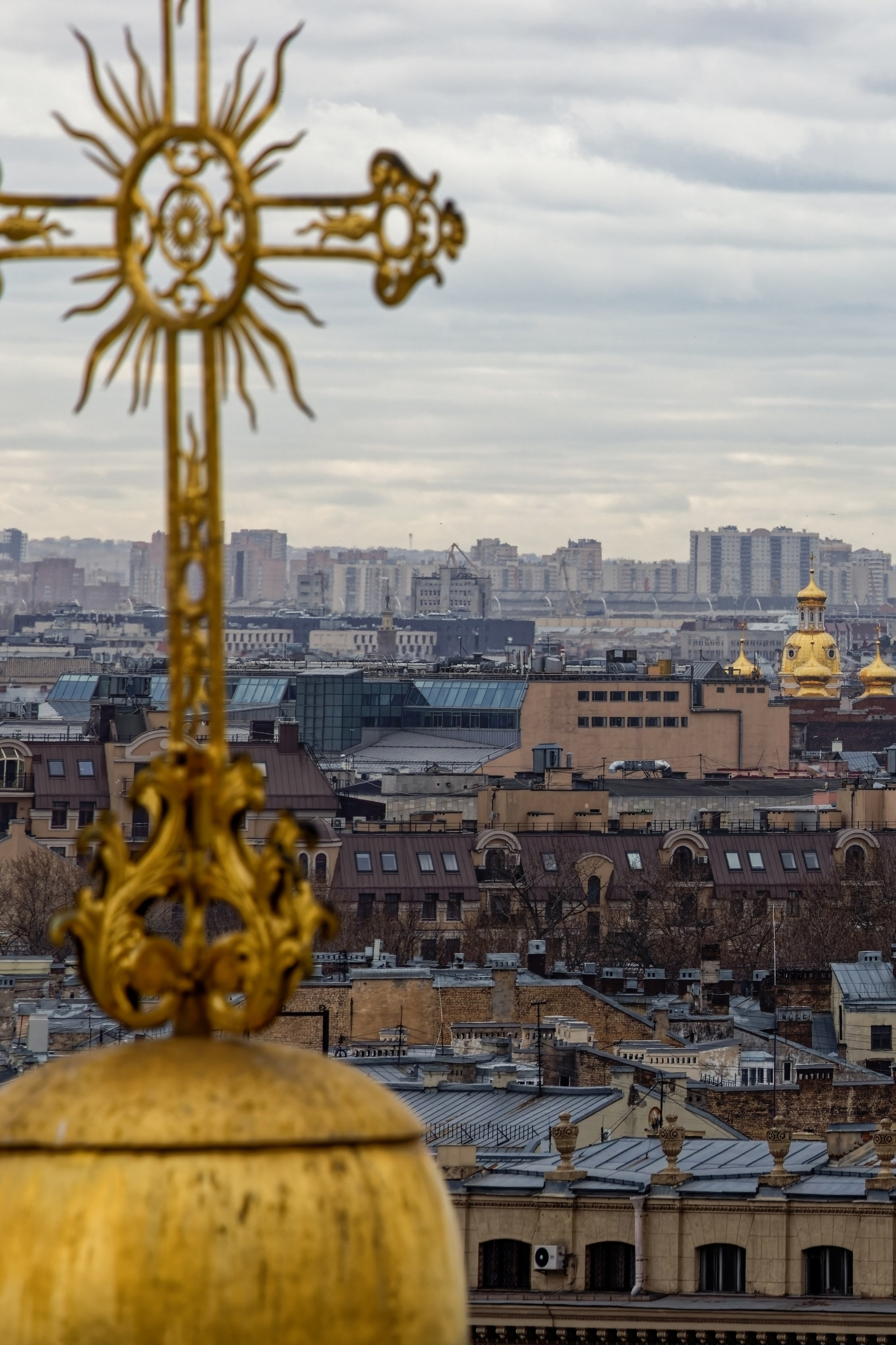 Вид на центр города со смотровой площадки Смольного собора. Санкт-Петербург