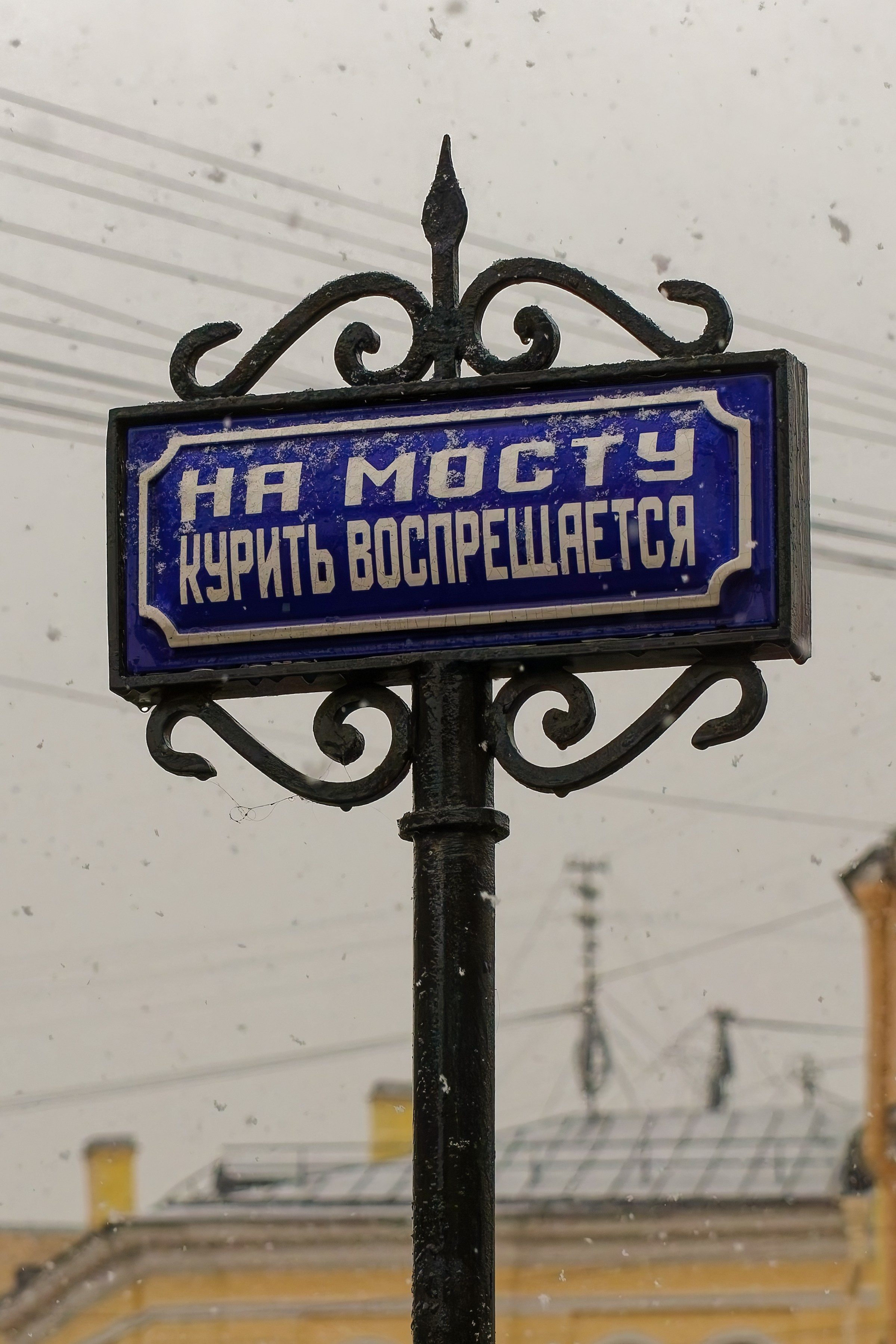 Банковский мост в Санкт-Петербурге: история, львы, фото | 812 оттенков gtnth, ehuf