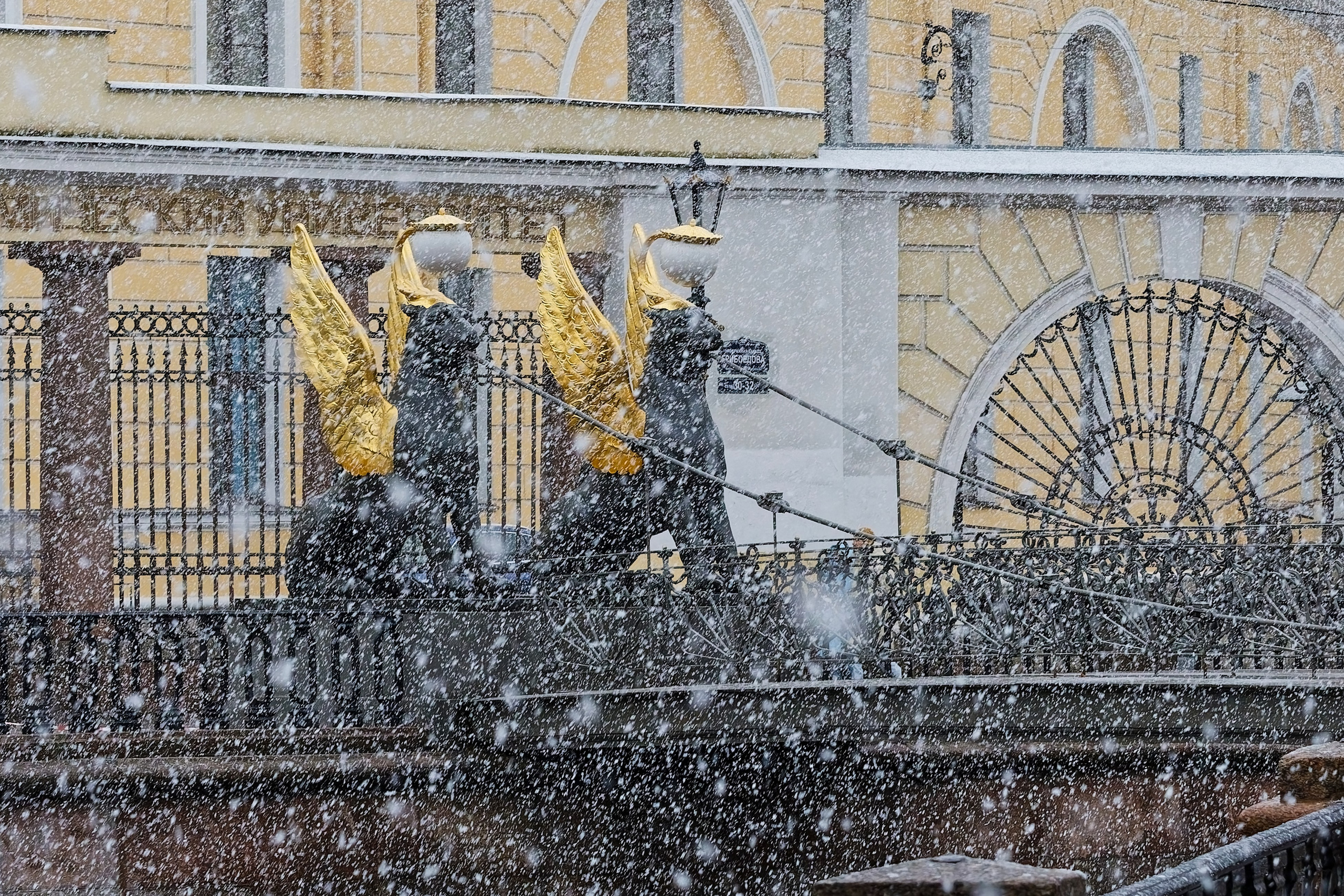 Банковский мост в Санкт-Петербурге: история, львы, фото | 812 оттенков gtnth, ehuf