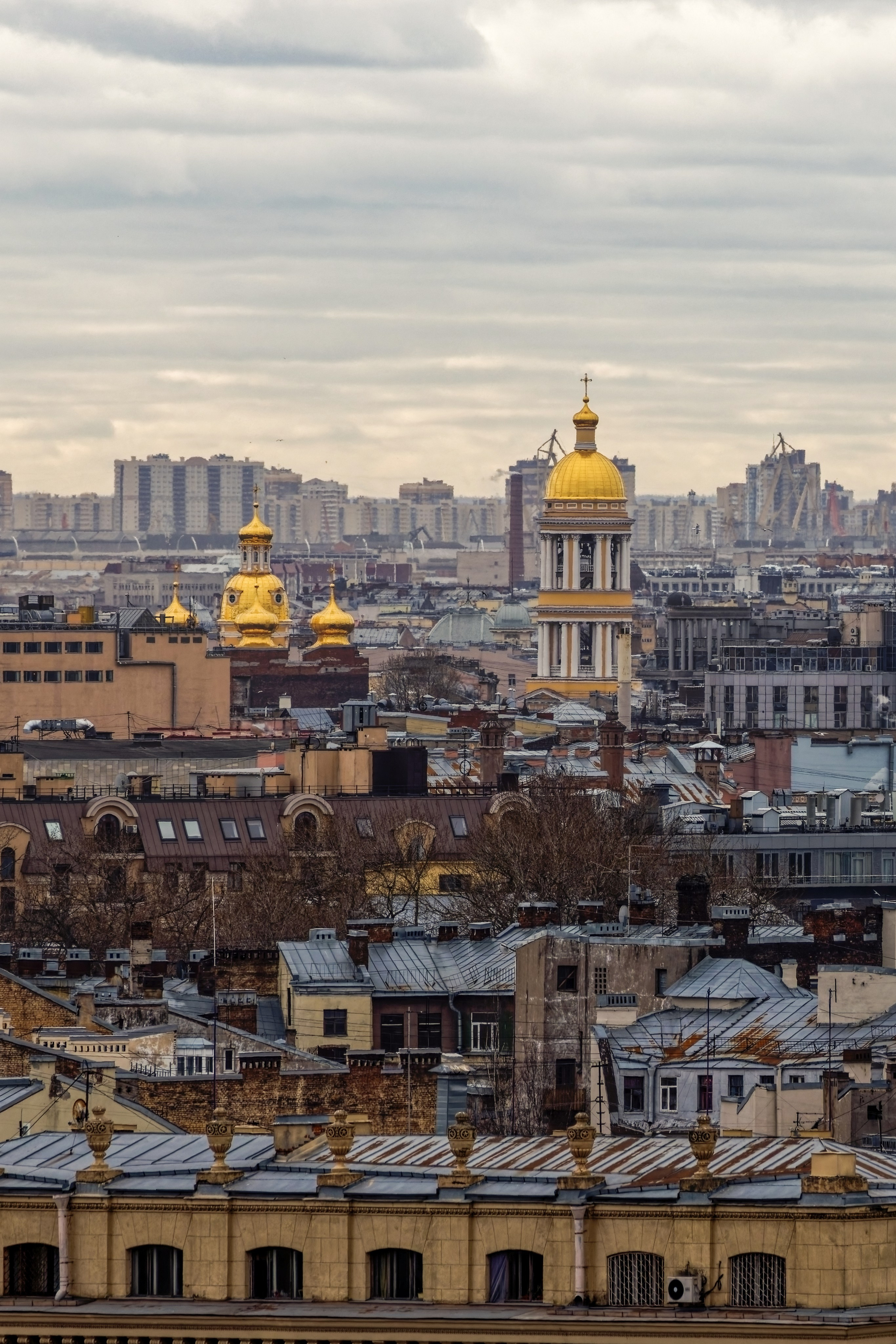Вид на Владимирский собор и центр города со смотровой площадки Смольного собора. Санкт-Петербург