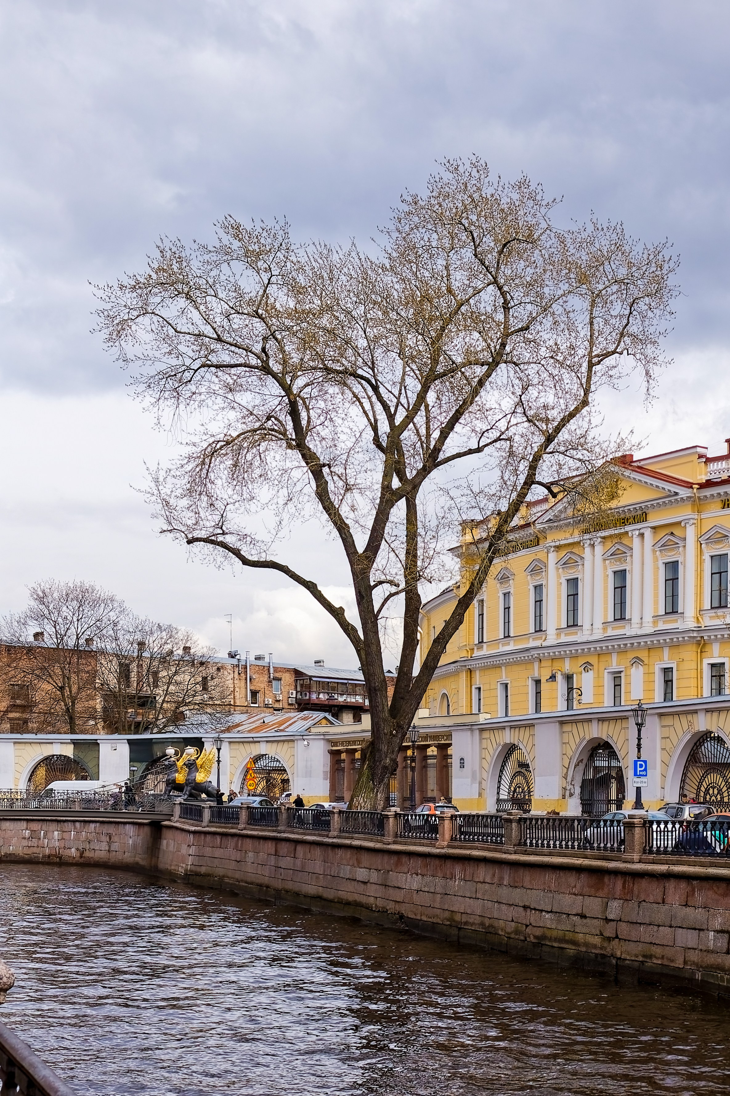Банковский мост в Санкт-Петербурге: история, львы, фото | 812 оттенков gtnth, ehuf