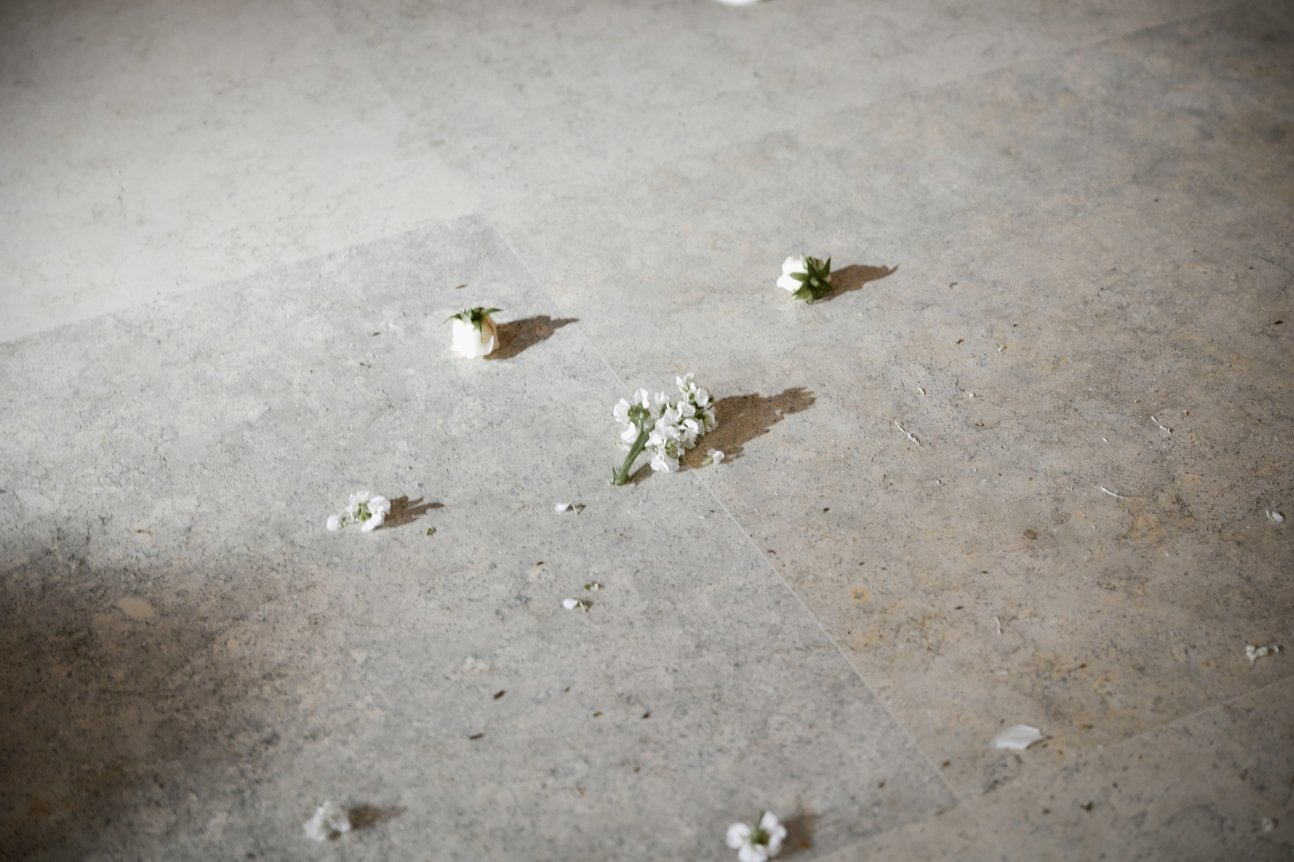 Григорий и Карина. Свадебный фотограф в Сургуте Иванов Павел