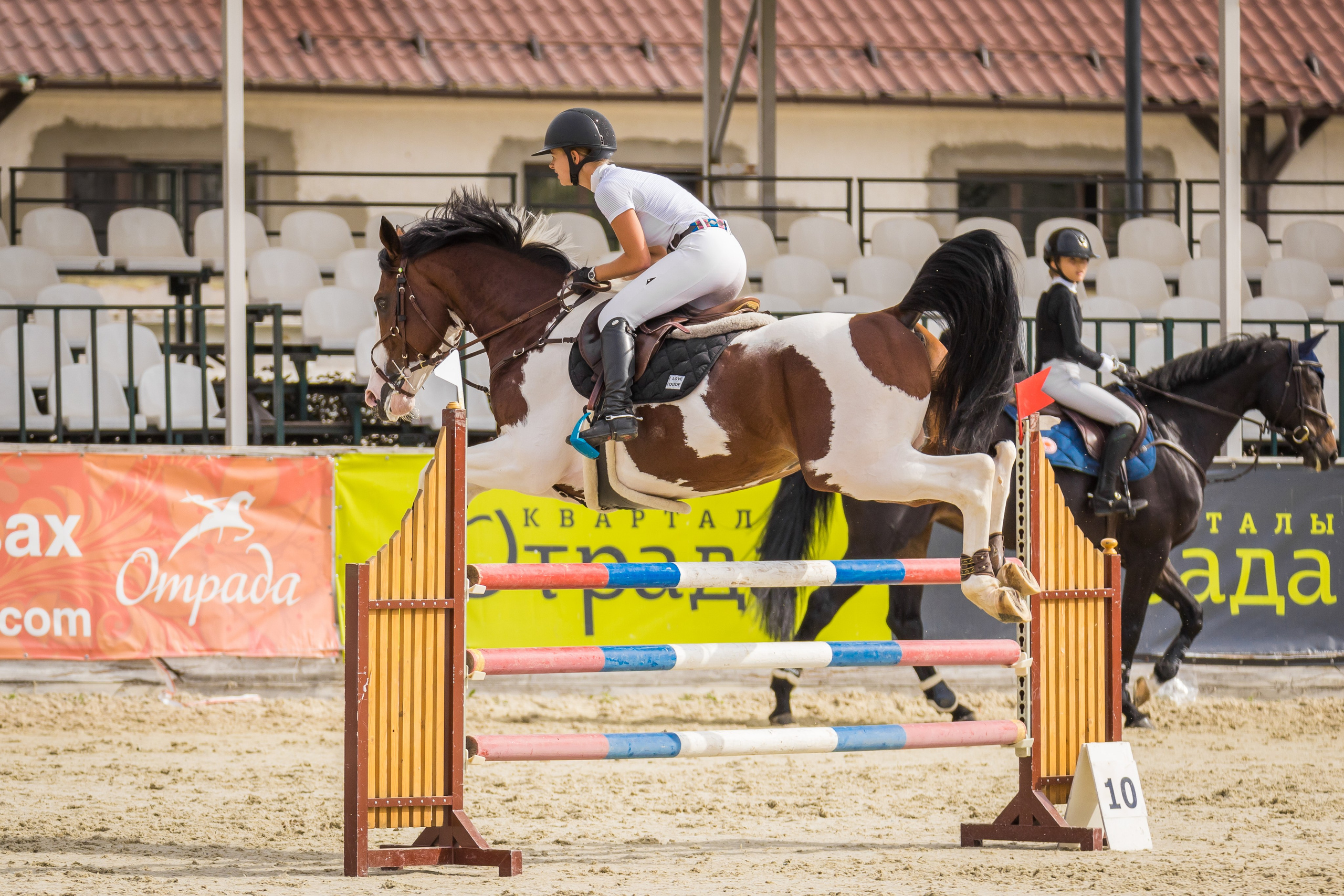 Конный спорт. Photomantis