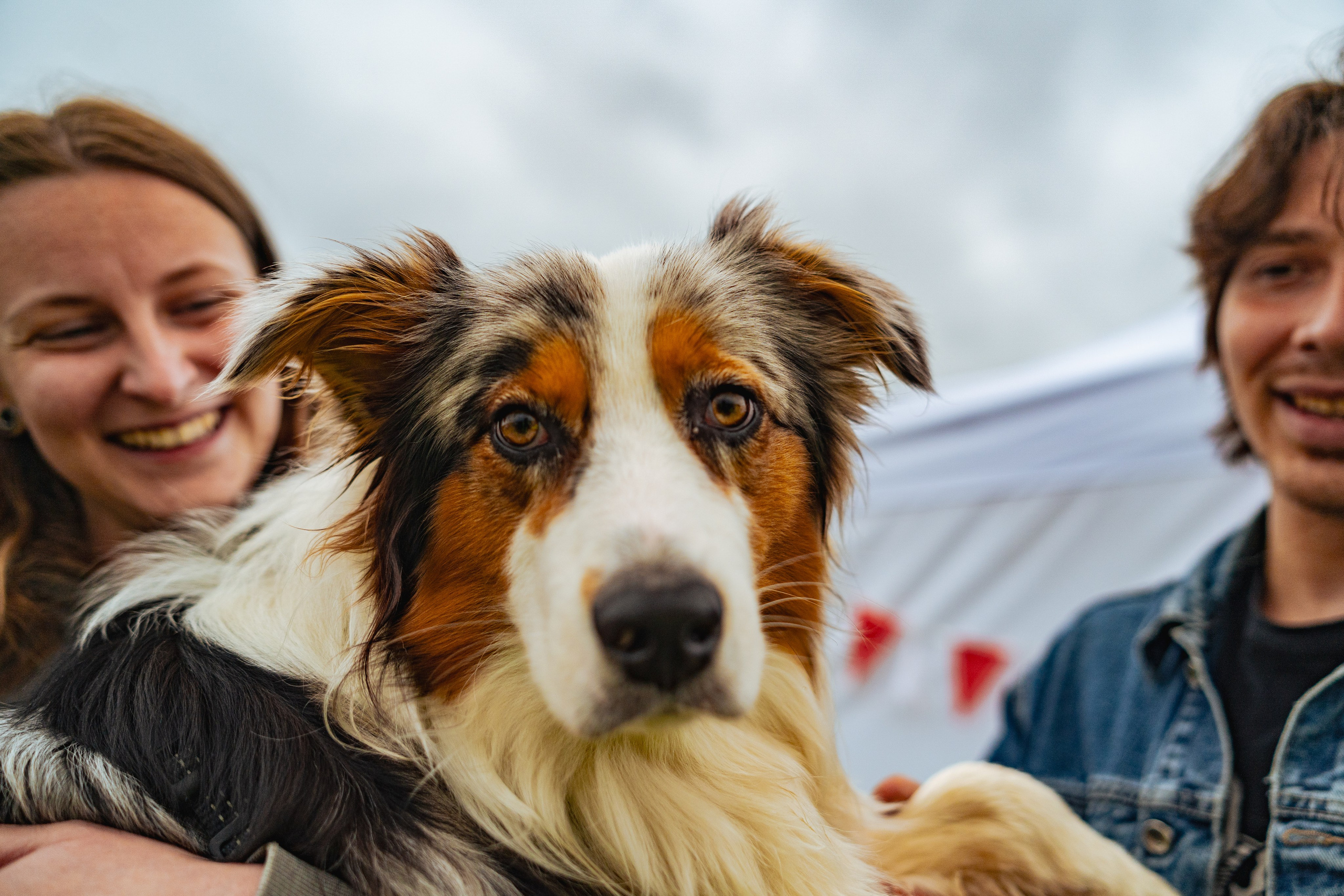 Volvo RWD Club. Автомобильный фотограф в Москве Максим Москаленко