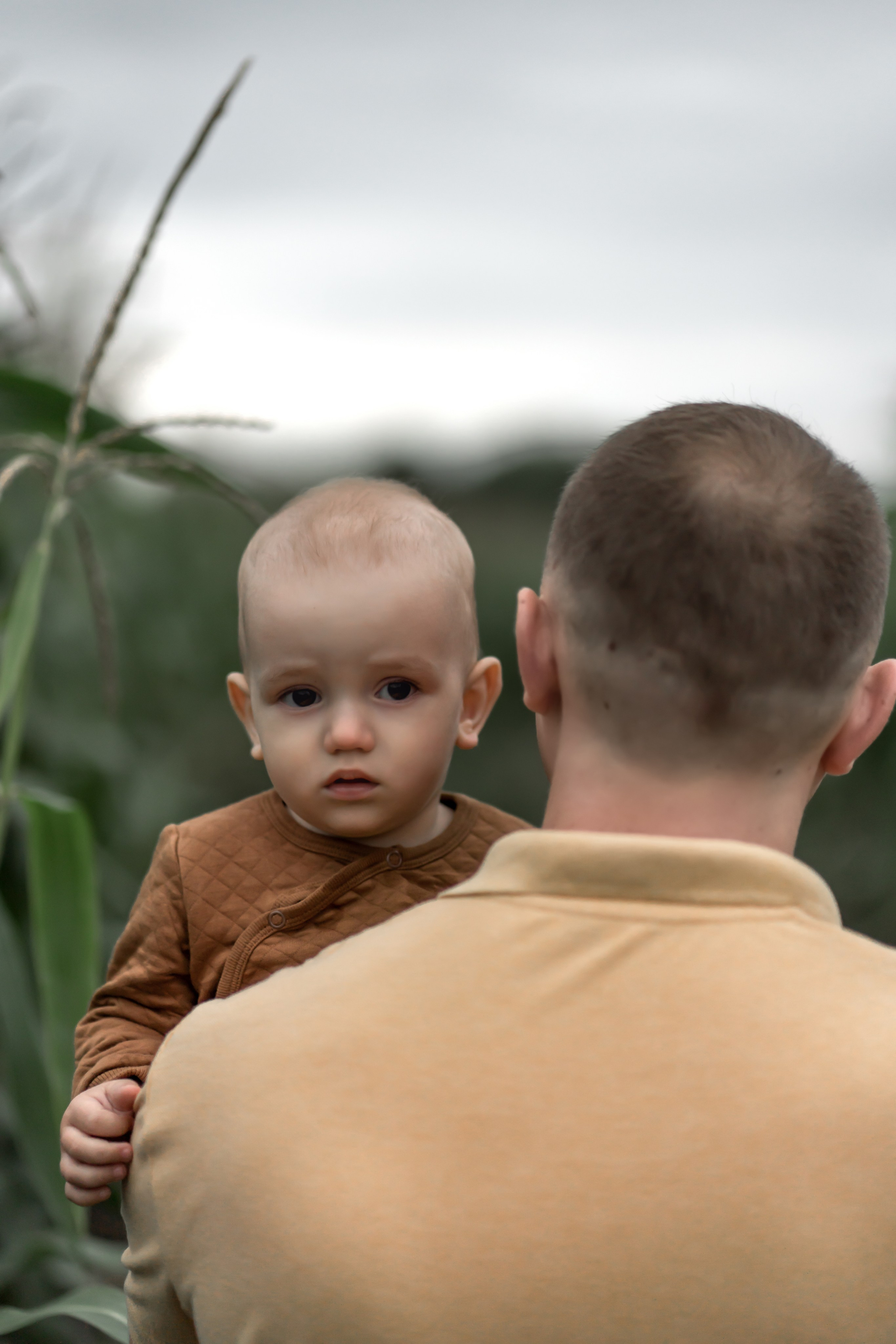Прогулка в кукурузе. Фотограф в Красноярске. Юлия Чаушанская