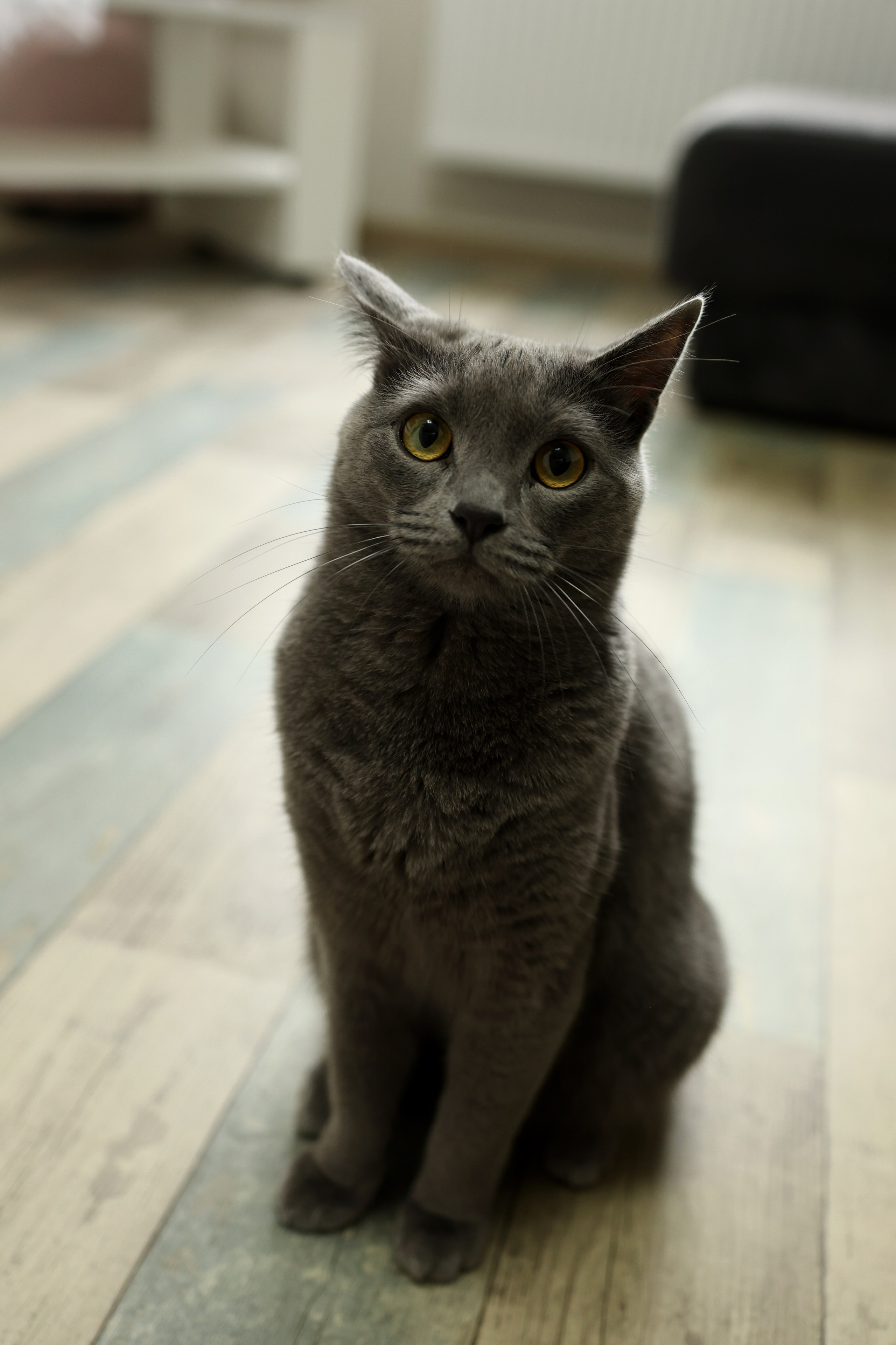 Диана и Андрей. Свадебный и семейный фотограф в Воронеже Ксения Воротникова