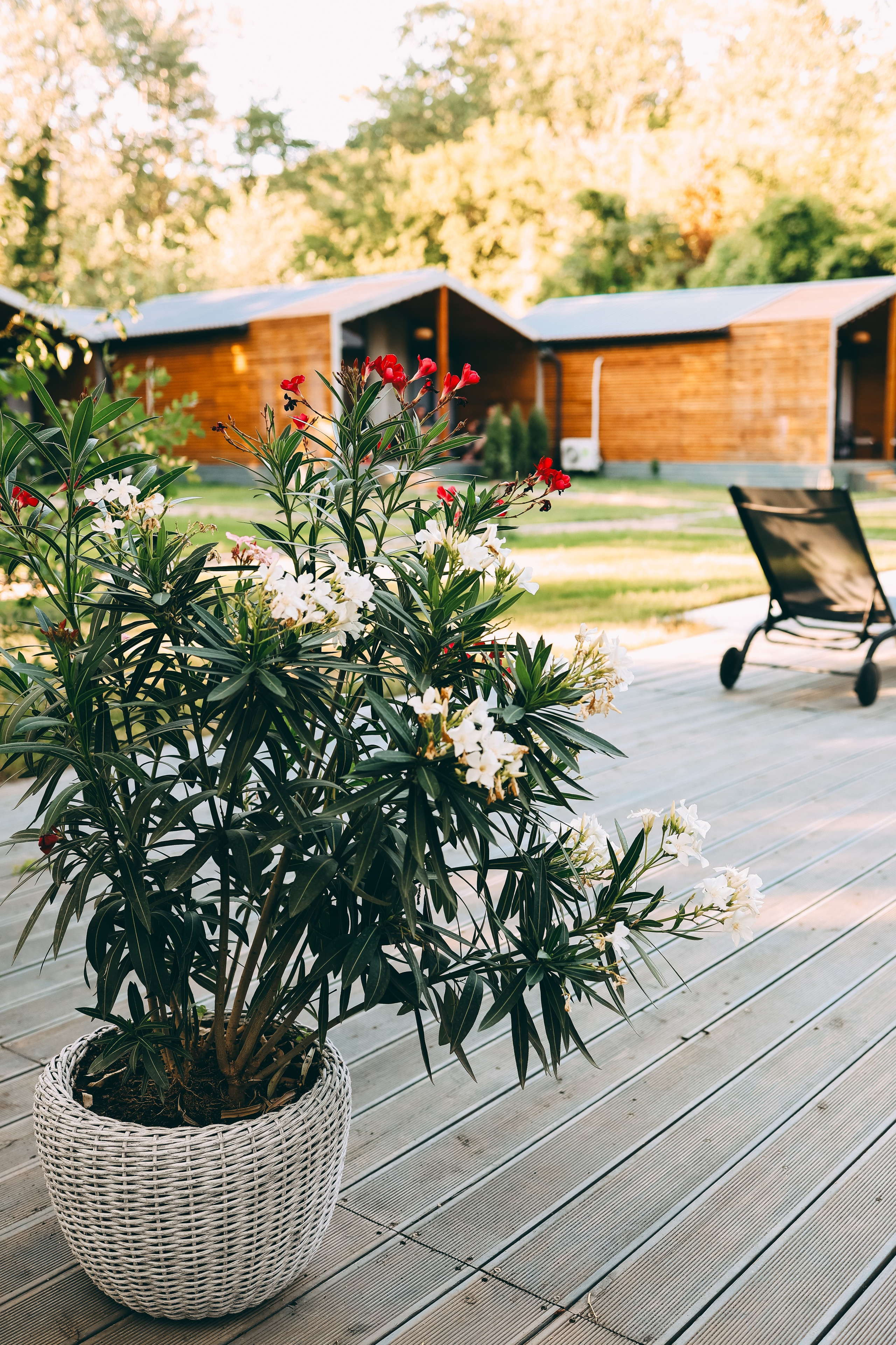 Семья Савелия и Тимофея. Свадебный и семейный фотограф в Воронеже Ксения Воротникова