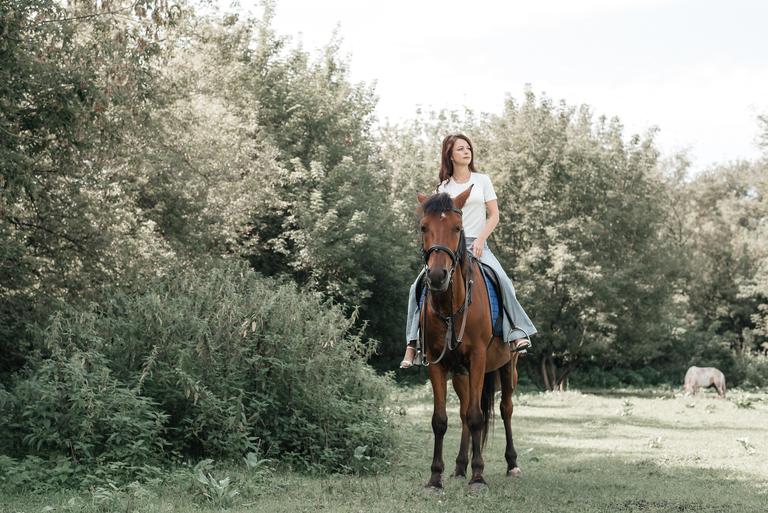 Фотосессия с лошадью, на лошади фото, фотография с конем. Фотограф Лилия Арсланова Уфа Стерлитамак. Свадебные и семейные фотосесссии