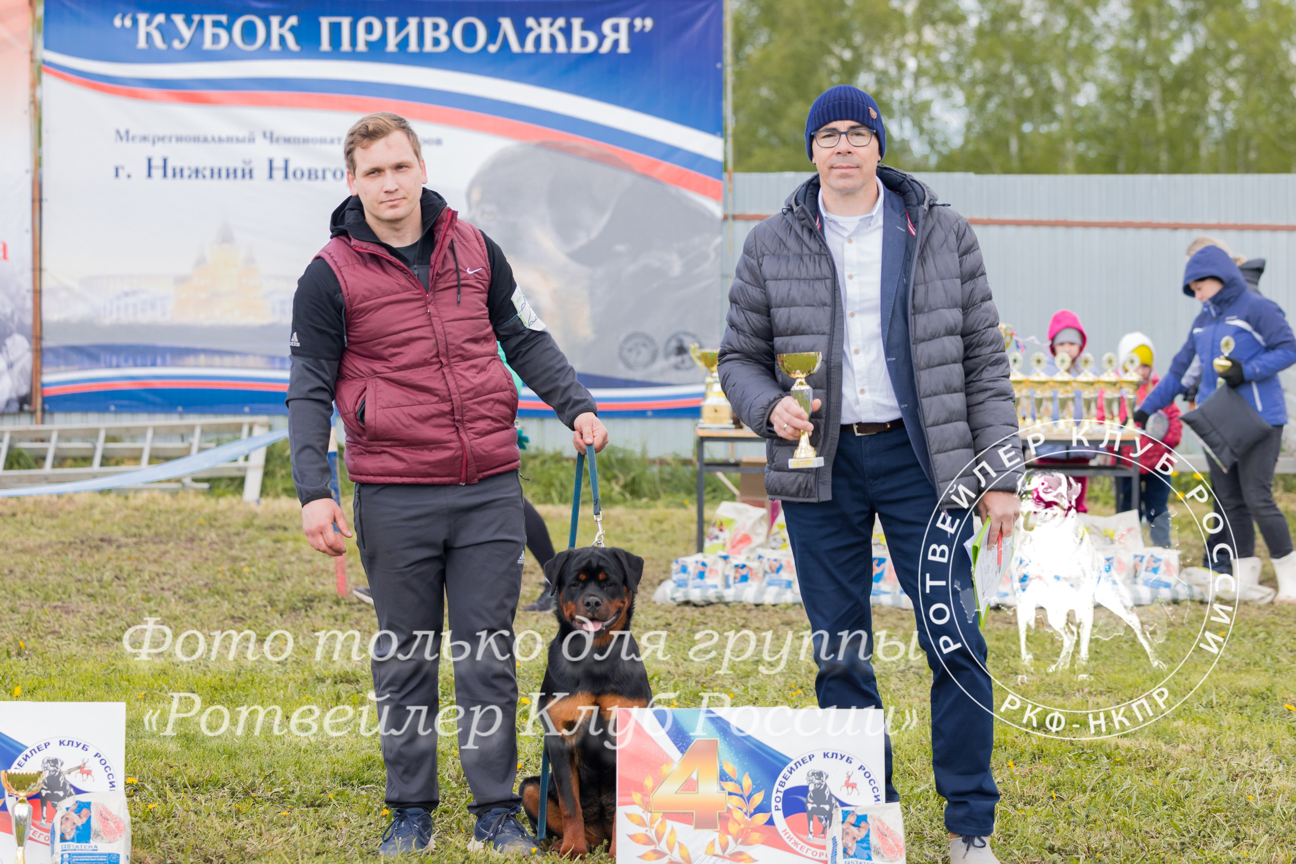 Нижний Новгород 2хмоно ротвейлеров 10-11.05.2025. Фотограф-анималист Юлия Германика