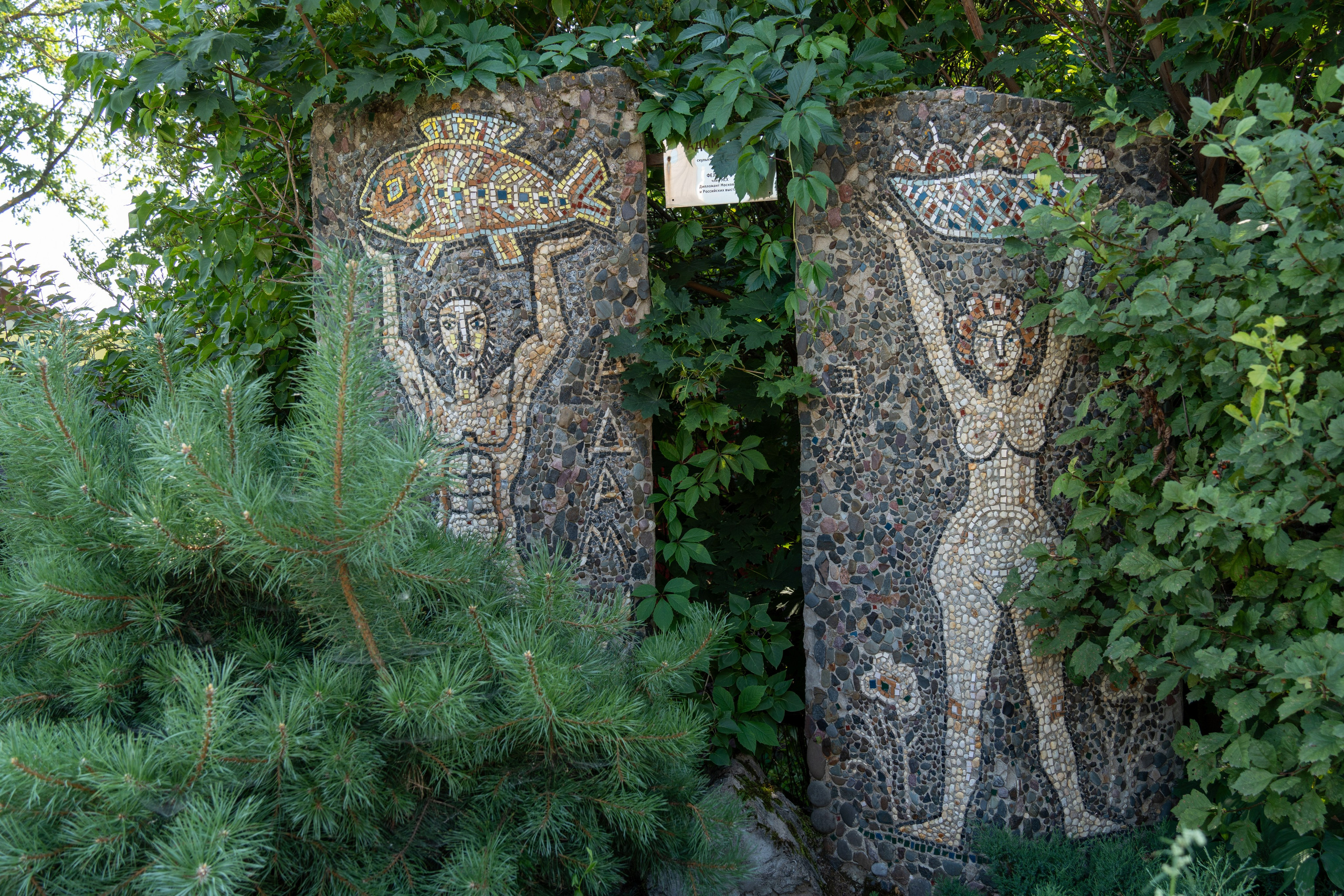 20250729-30 Ростов. Дмитрий Ремизов. Фотография, как хобби