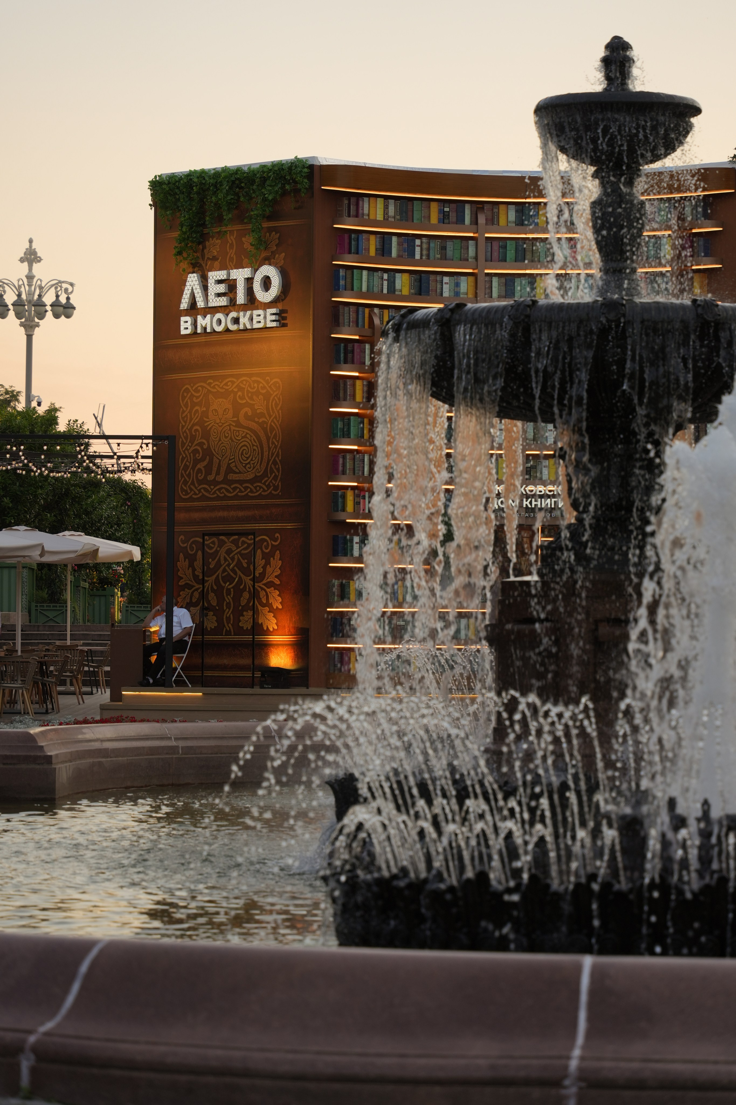 20250725 Савёловская — Пушкинская. Дмитрий Ремизов. Фотография, как хобби