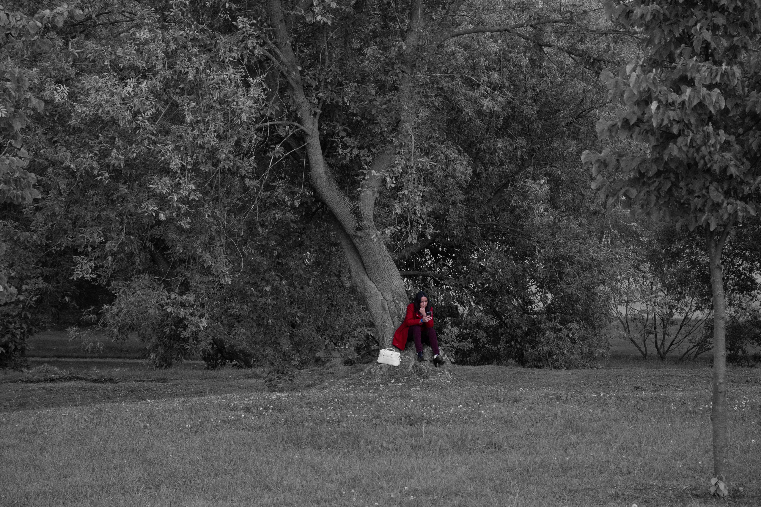 20200927 Коломенское. Дмитрий Ремизов. Фотография, как хобби