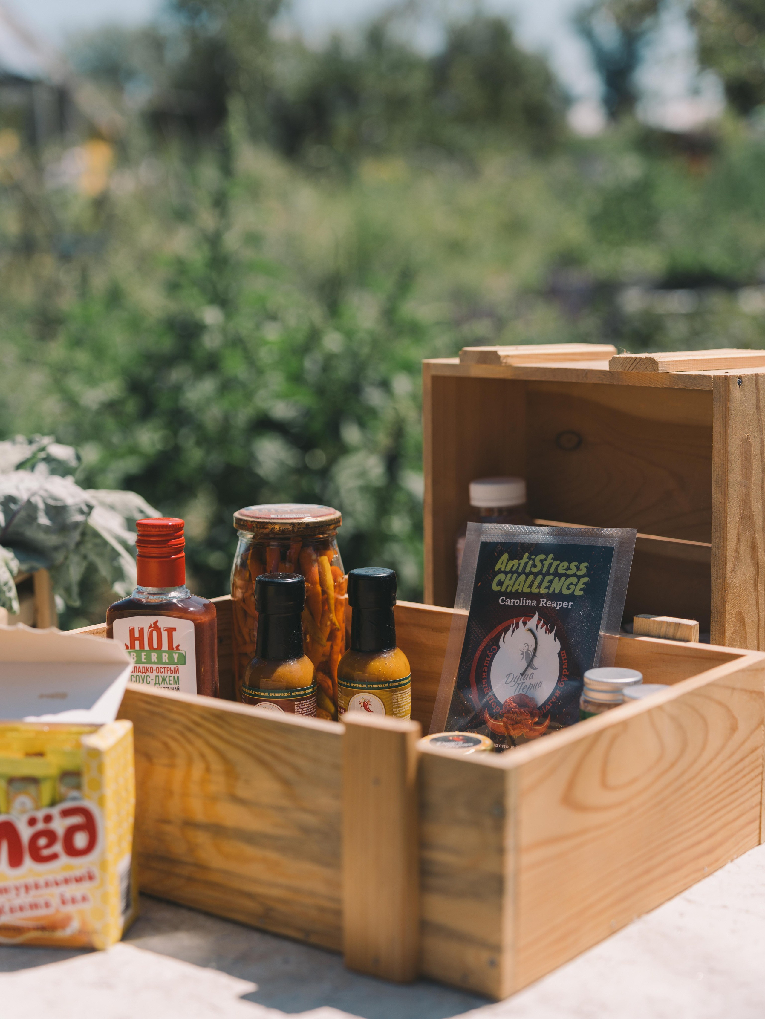 Серия съемок с Almaty Tourism Bureau. Репортажный фотограф в Алматы Цой Сергей