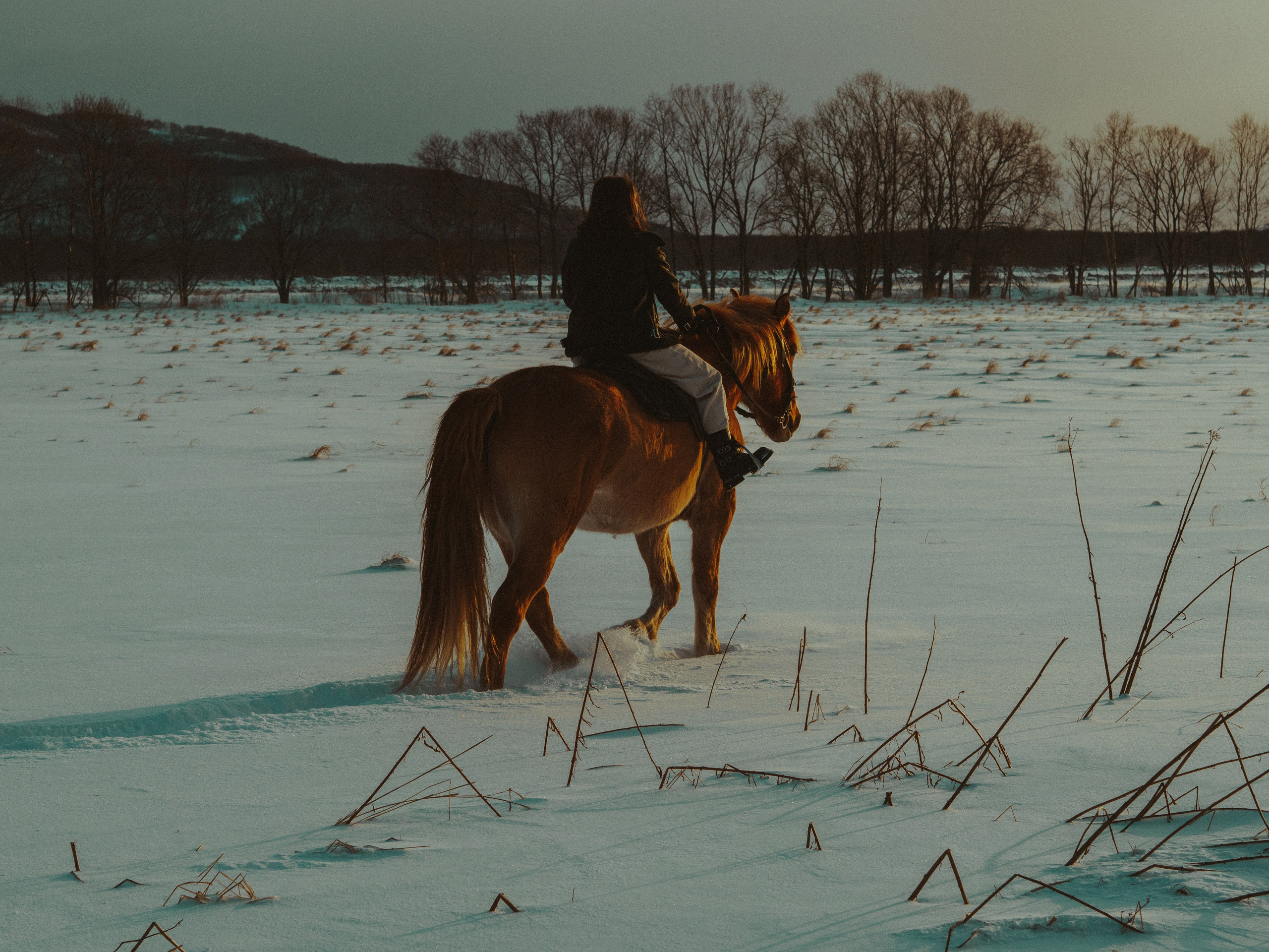 АМИНА И АРГОН. Фотограф в Санкт-Петербурге Эллис