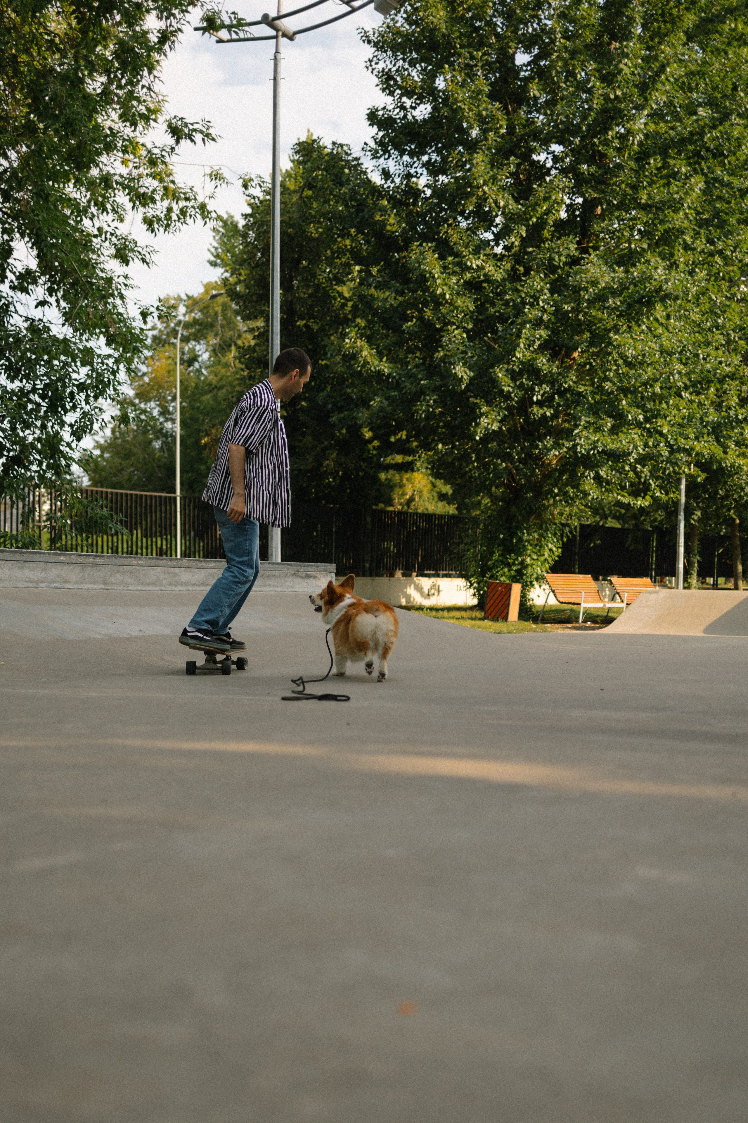 Брюс, Вейв и их ро. Фотораф — анималист Мария Шистка