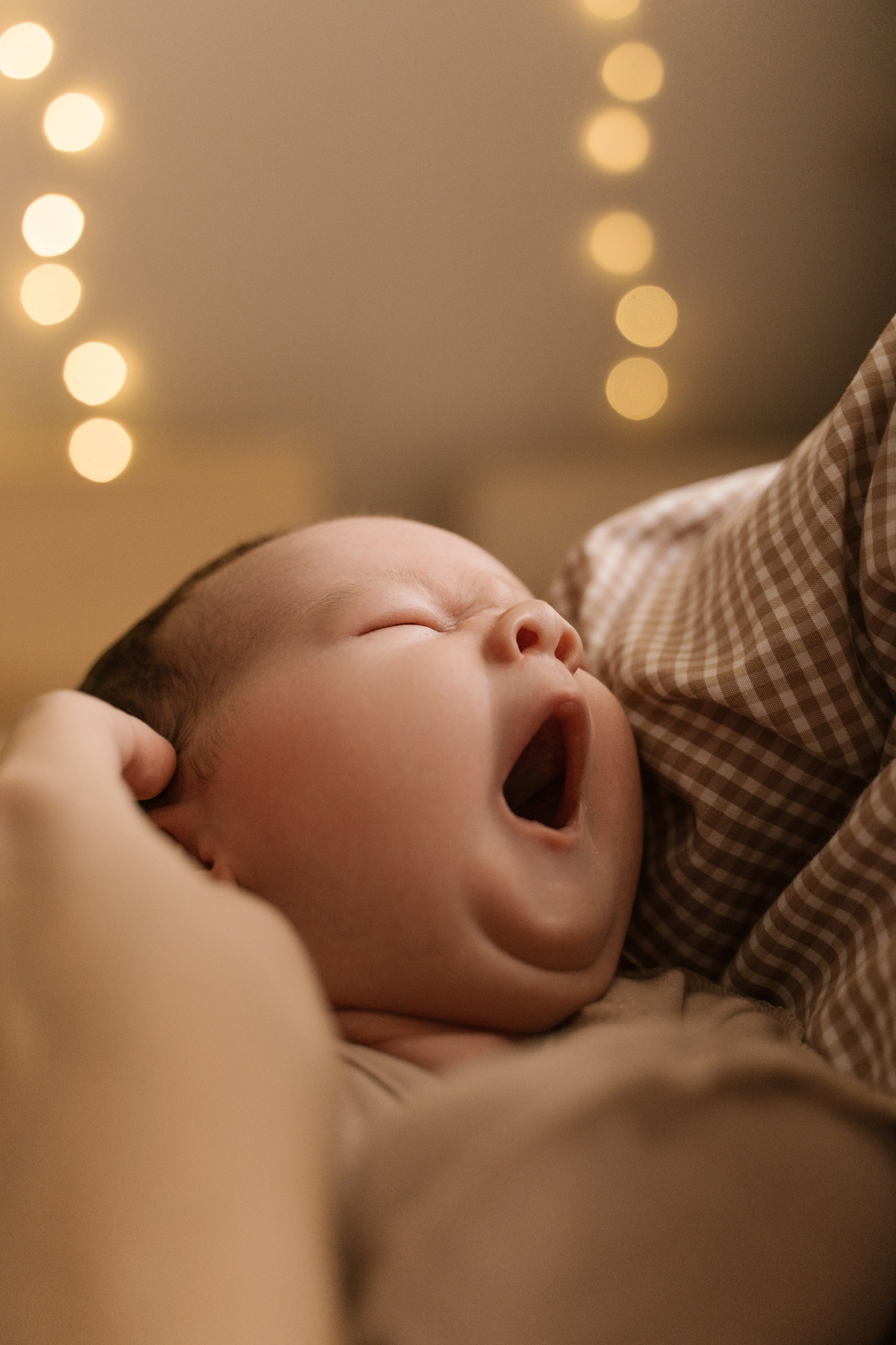 Добро пожаловать в семью. Свадебный и семейный фотограф в Новосибирске Светлана Варутина
