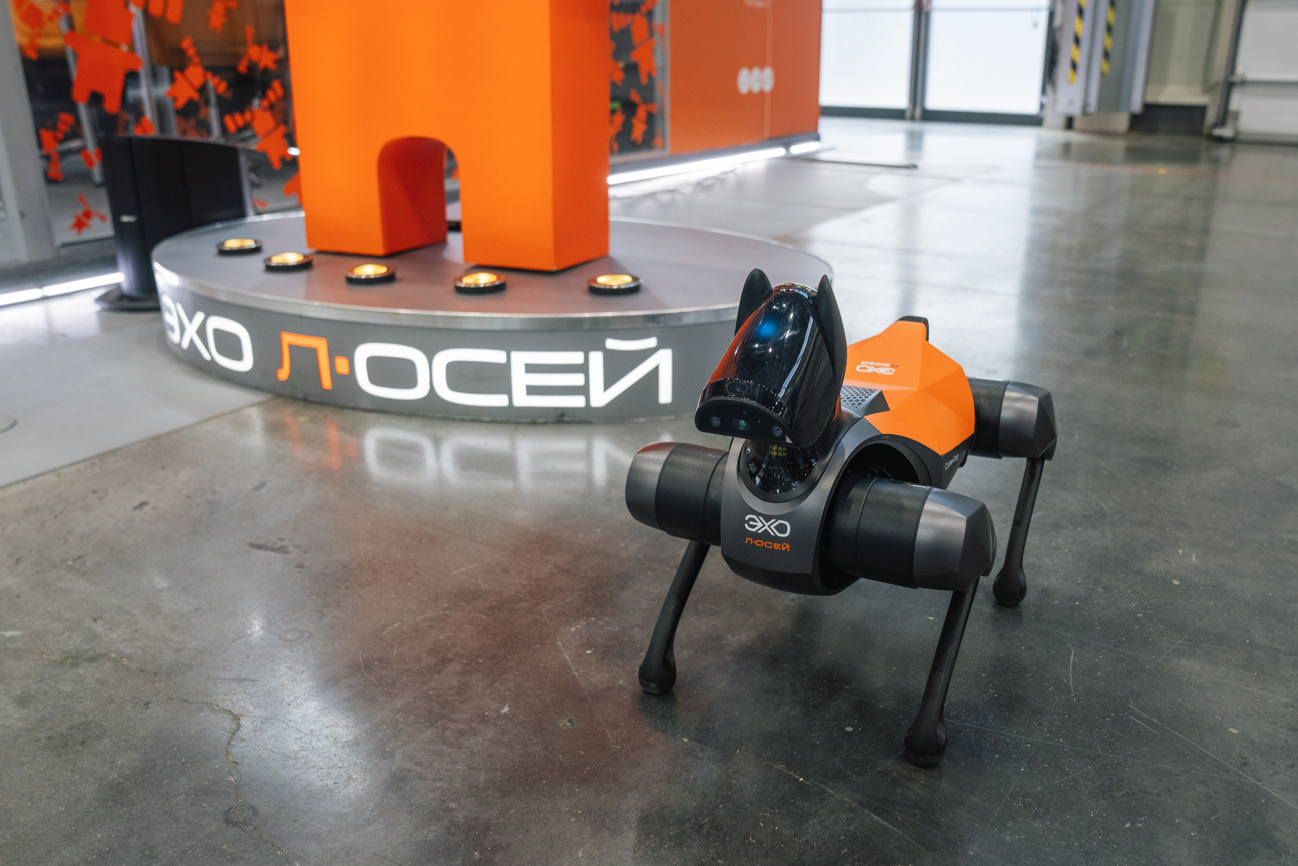 OCS. Kaef-production