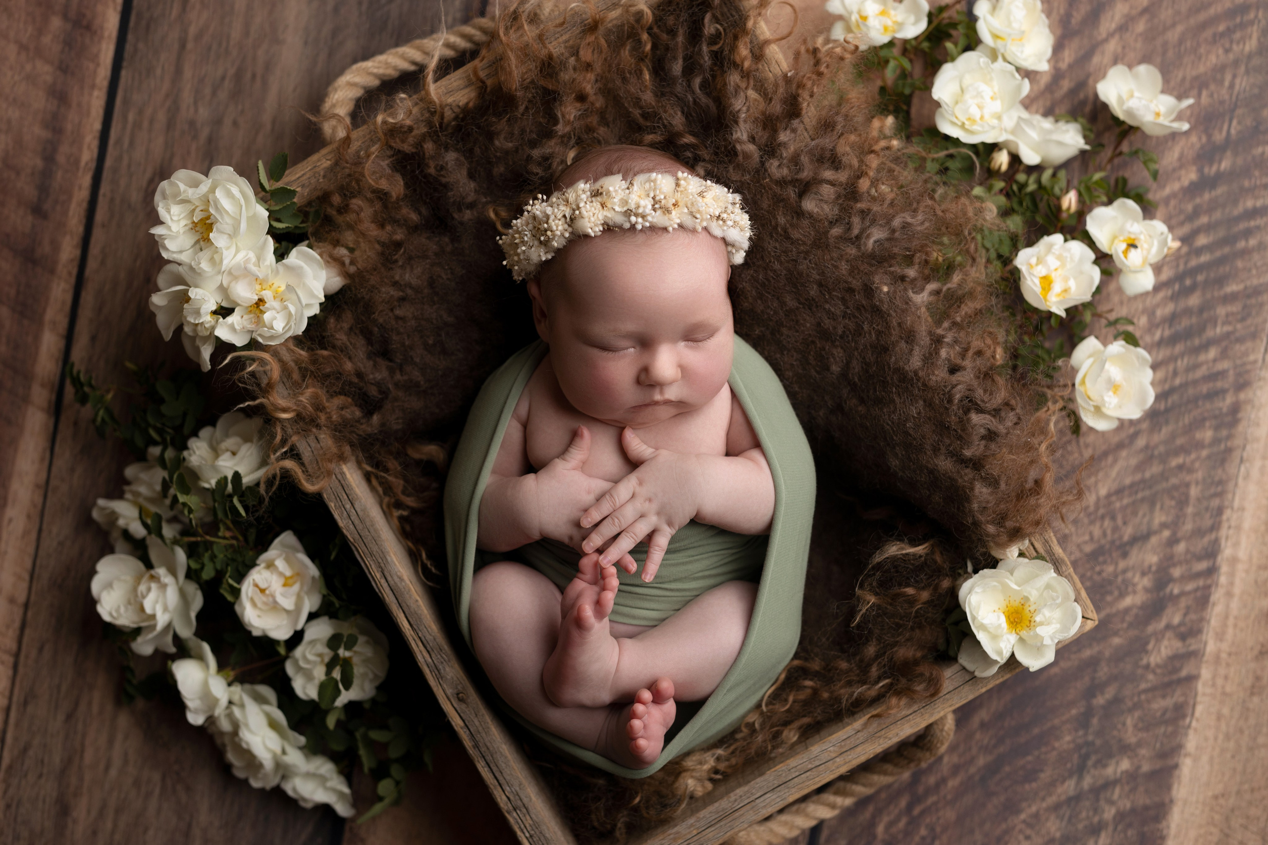 Фотограф новорожденных | Екатерина | Портфолио и цены | Съемка в студии и дома. Фотограф уникального направления ньюборн в Москве Екатерина Буценина