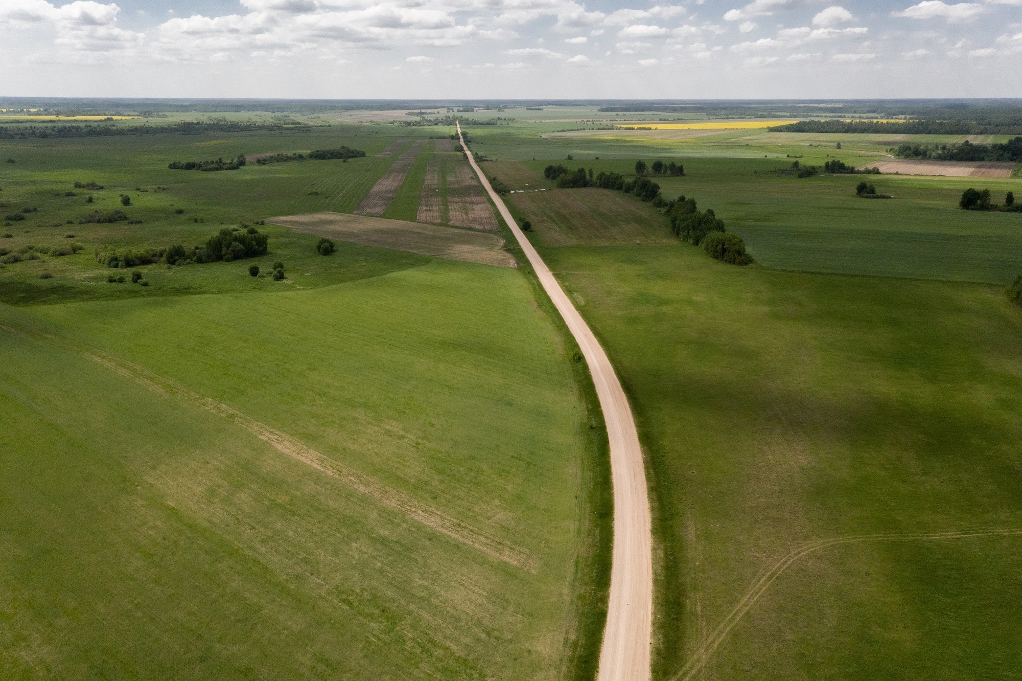 Home.land. Künstler Verstecktoff