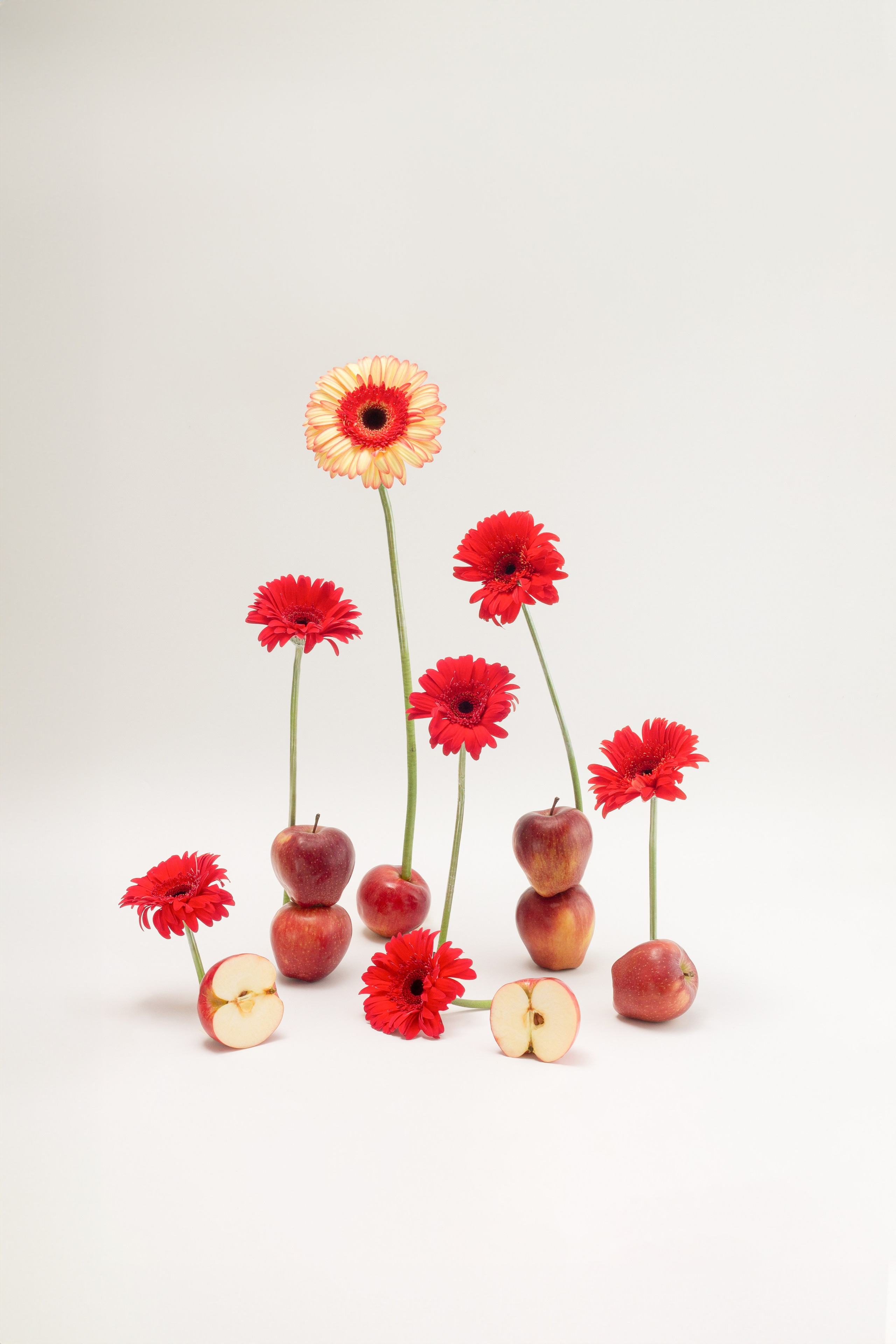 Портфолио. Альбина Ромозанова, фотограф из Казани