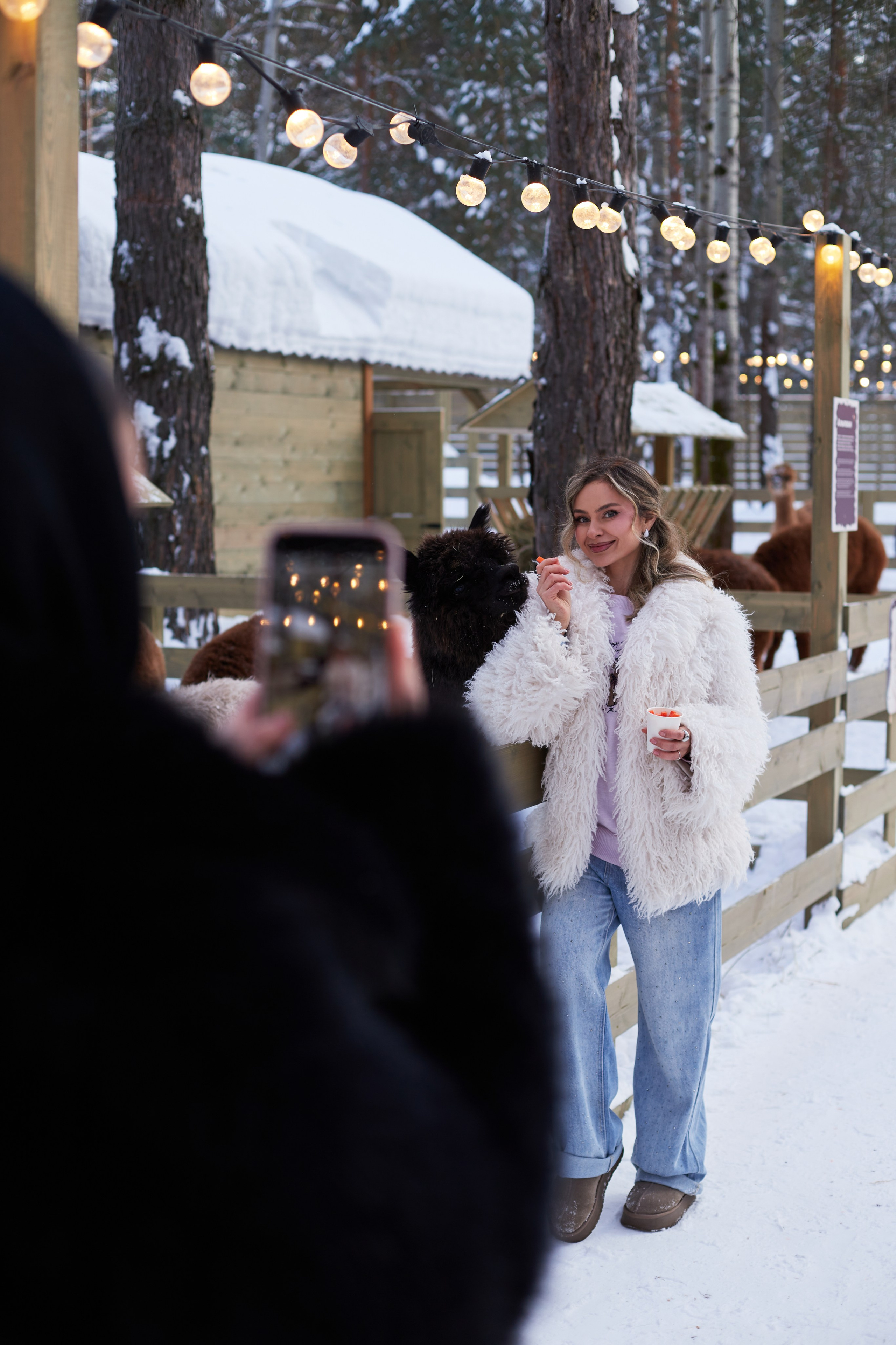 Альпака парк «Симба». Профессиональный фотограф Лилия Галеева
