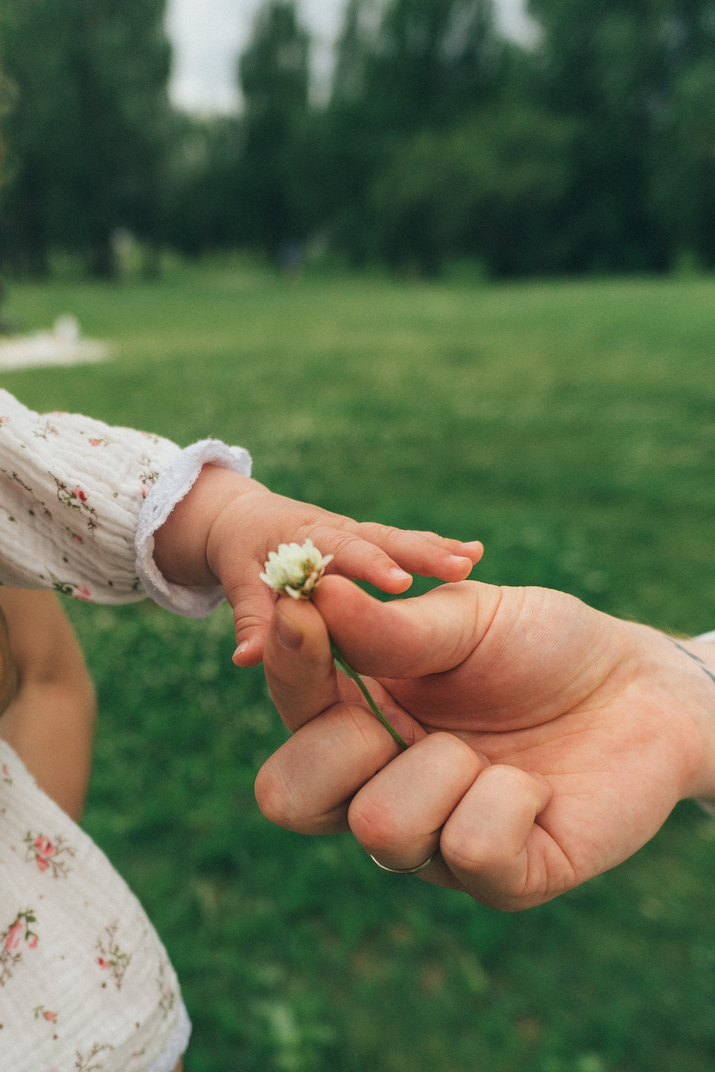 Кирилл, Ксения и Лукерья. Екатерина Рыбкина Портретный фотограф в Москве